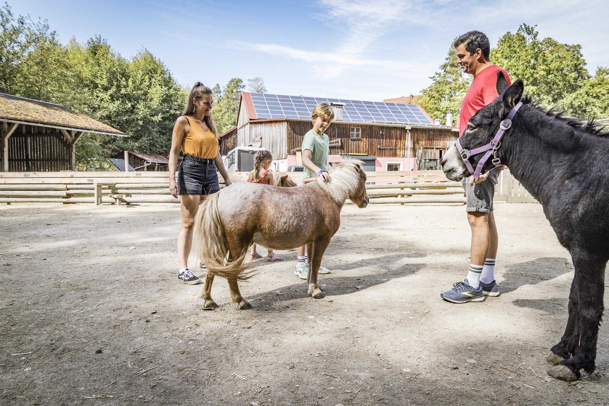 Wohnmobilstellplatz: Streichelzoo - Ferienhof & Campingplatz Schweinmühle 