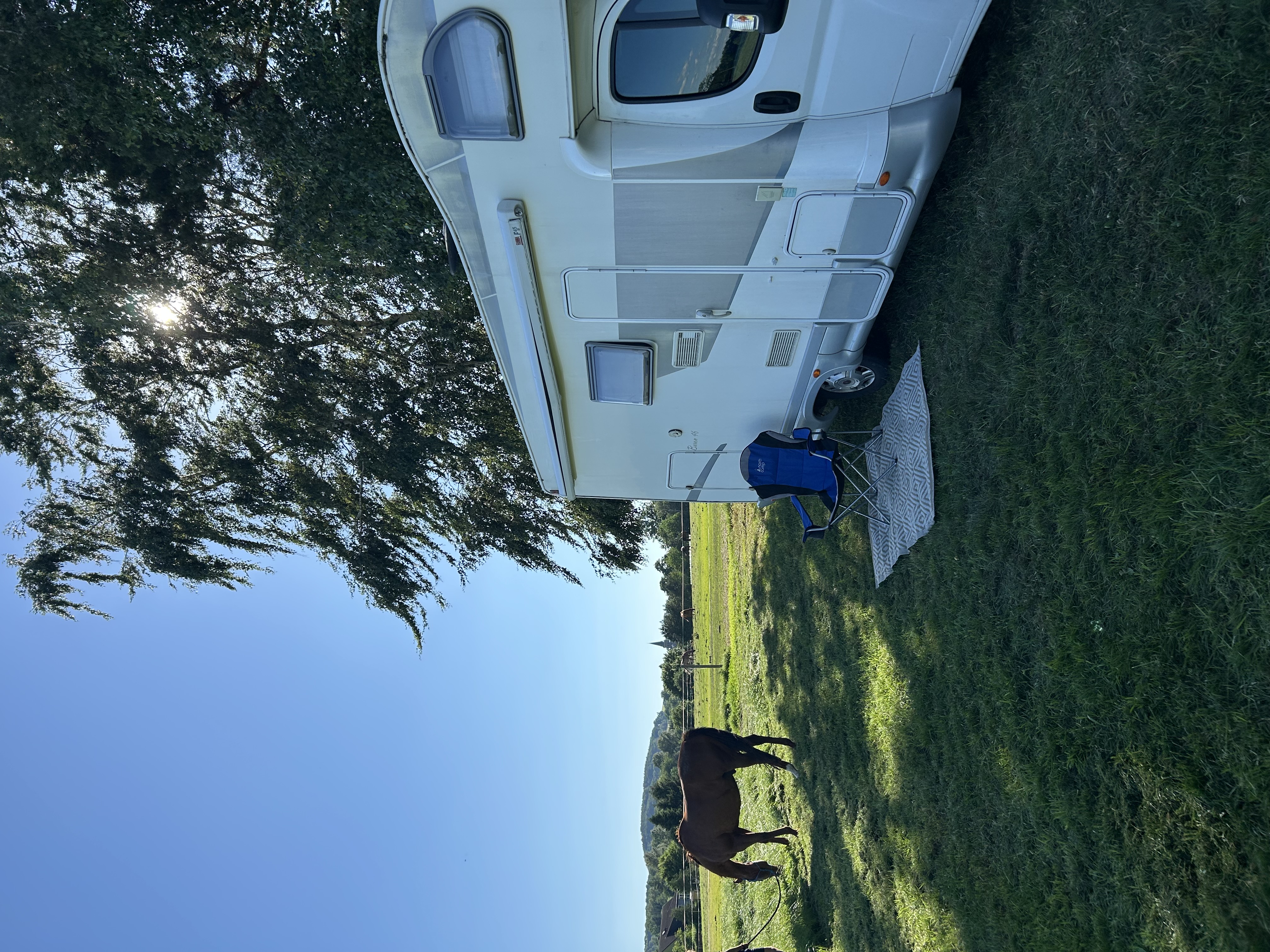 área camper - Bad Schandau - Blick zum Triebenberg am Reiterhof