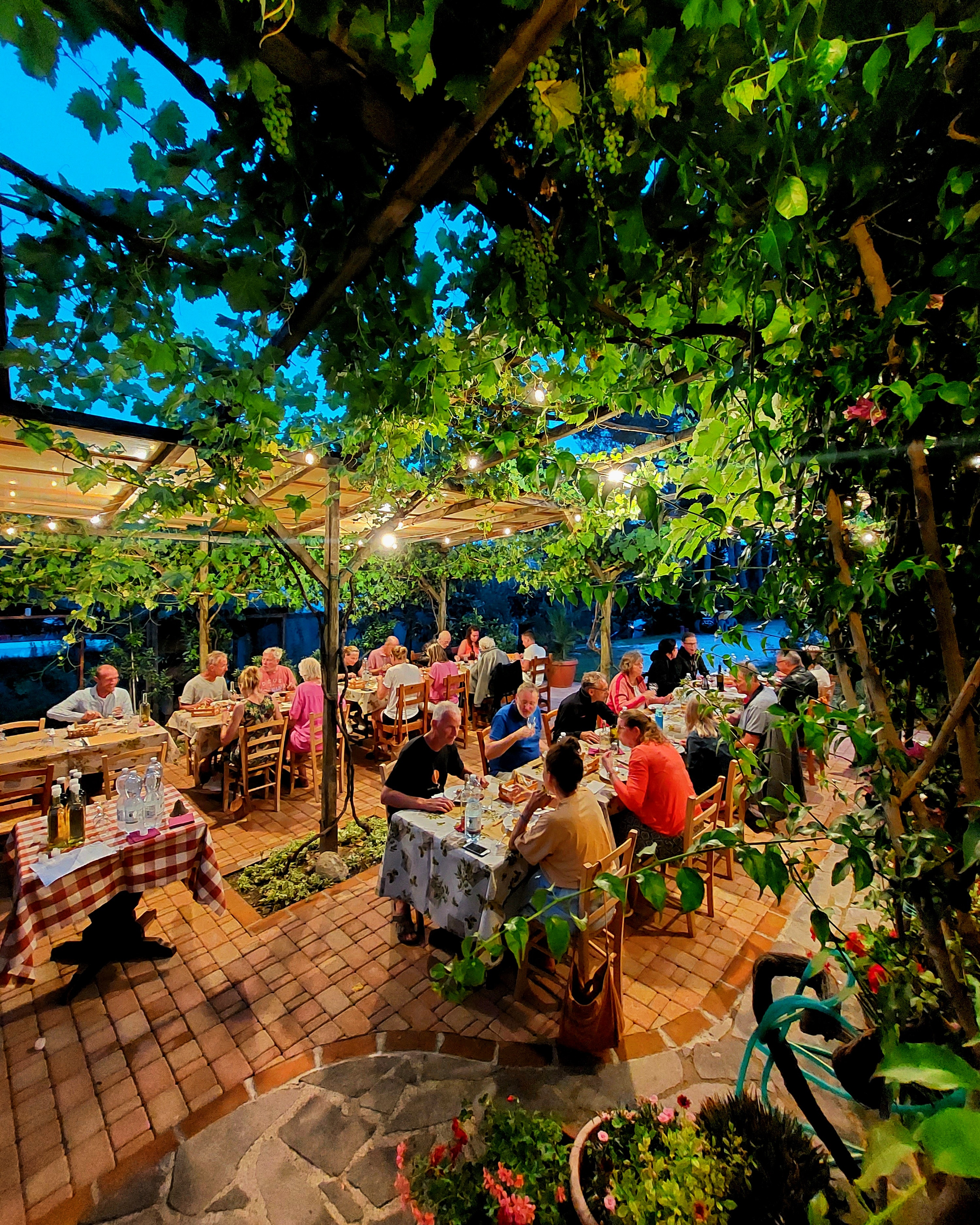 Wohnmobilstellplatz: Agricamping Podernuovo bp