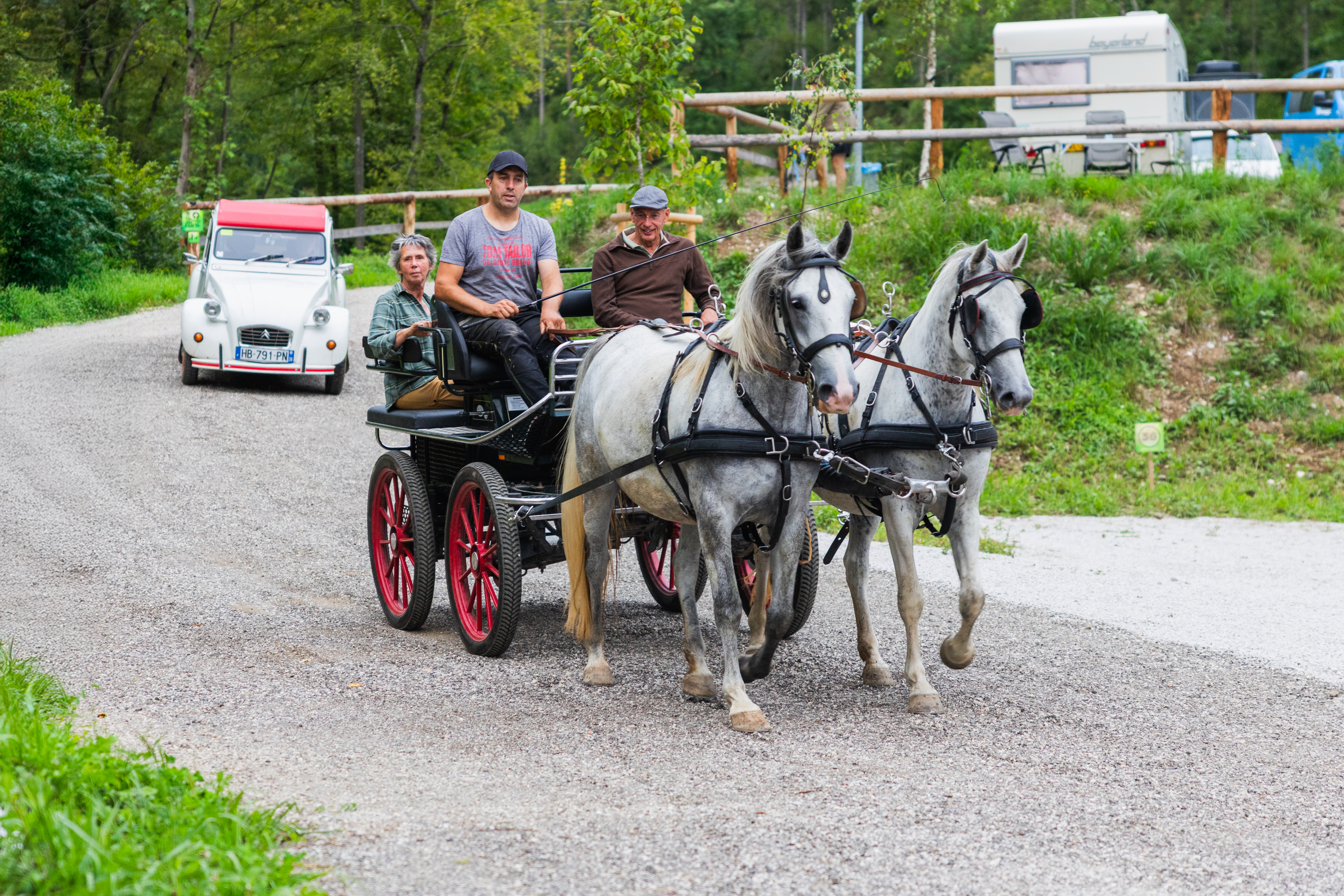 Wohnmobilstellplatz: Camper Park Barbana Lipizzaner - Stellplätze