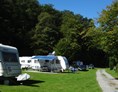 Wohnmobilstellplatz: Stellplätze - Odenwald-Camping-Park