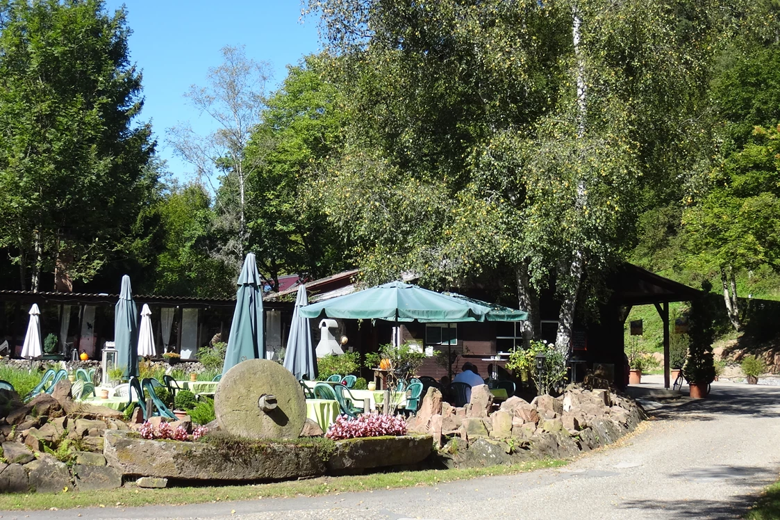 Wohnmobilstellplatz: Biergarten - Odenwald-Camping-Park