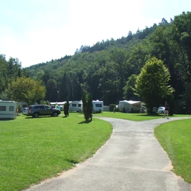 Wohnmobilstellplatz: Premium-Stellplätze - Odenwald-Camping-Park