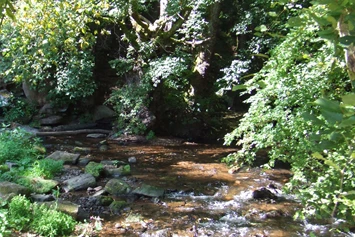 Wohnmobilstellplatz: Romantisch campen am "Ulfenbach" - Odenwald-Camping-Park