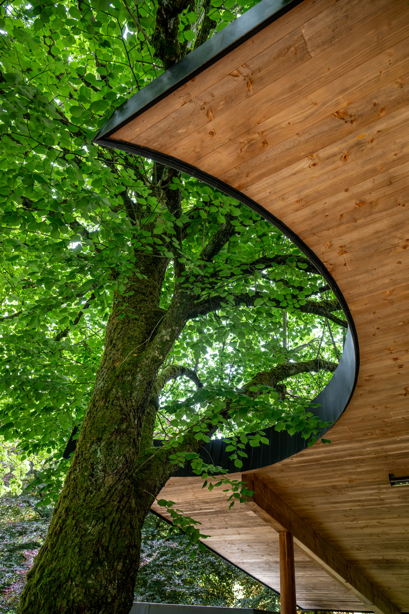 Wohnmobilstellplatz: Camping Heiltzerstee