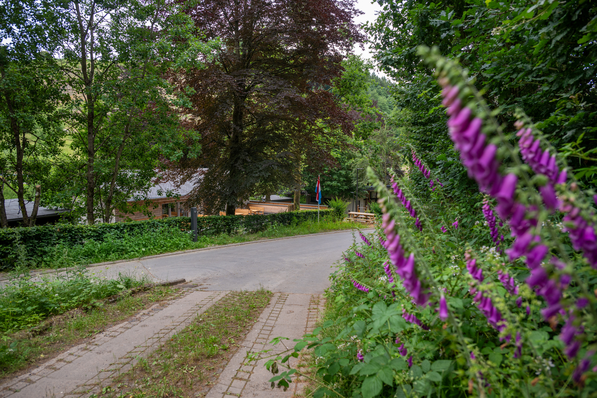 Wohnmobilstellplatz: Camping Heiltzerstee