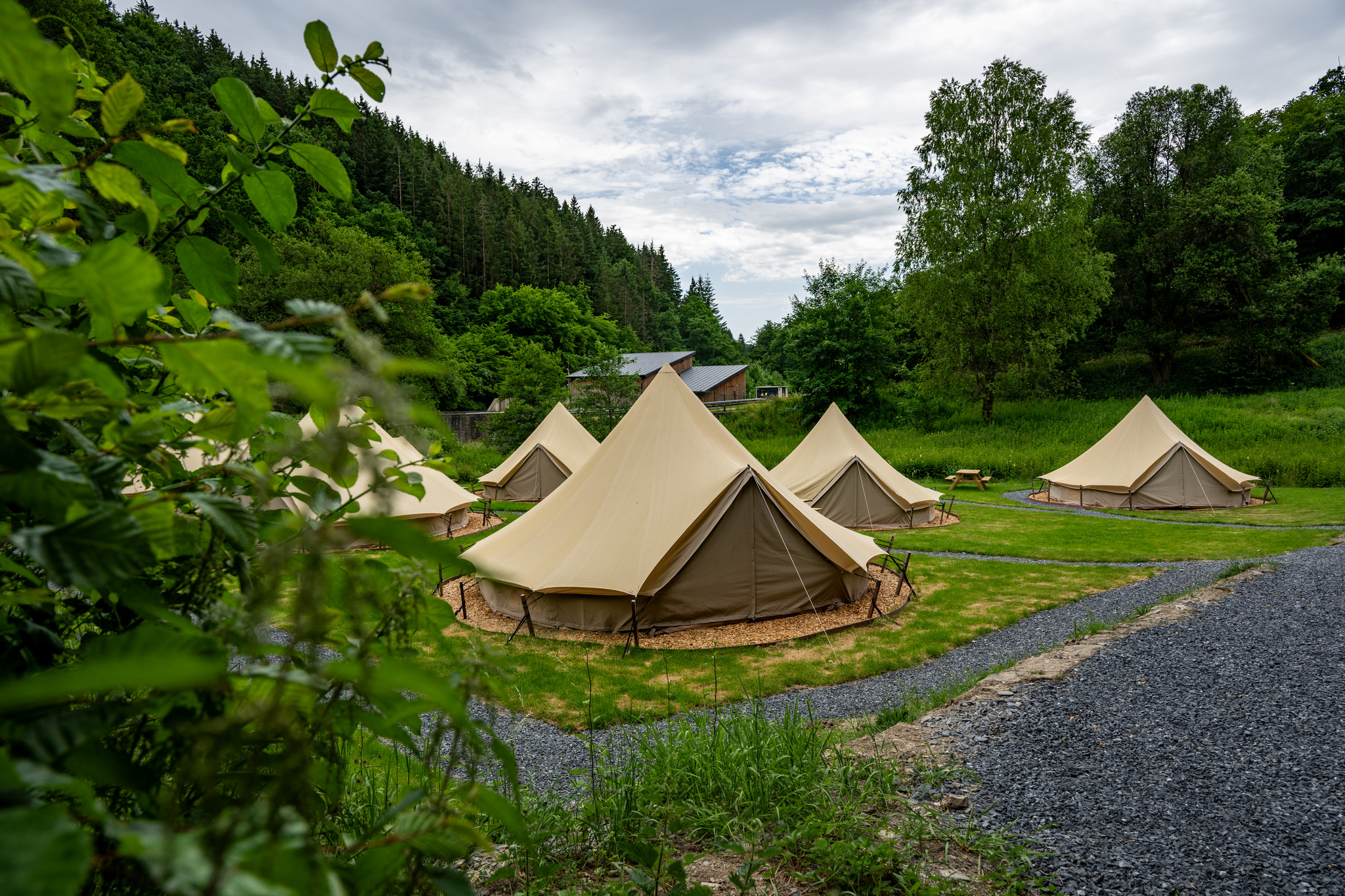 Wohnmobilstellplatz: Camping Heiltzerstee