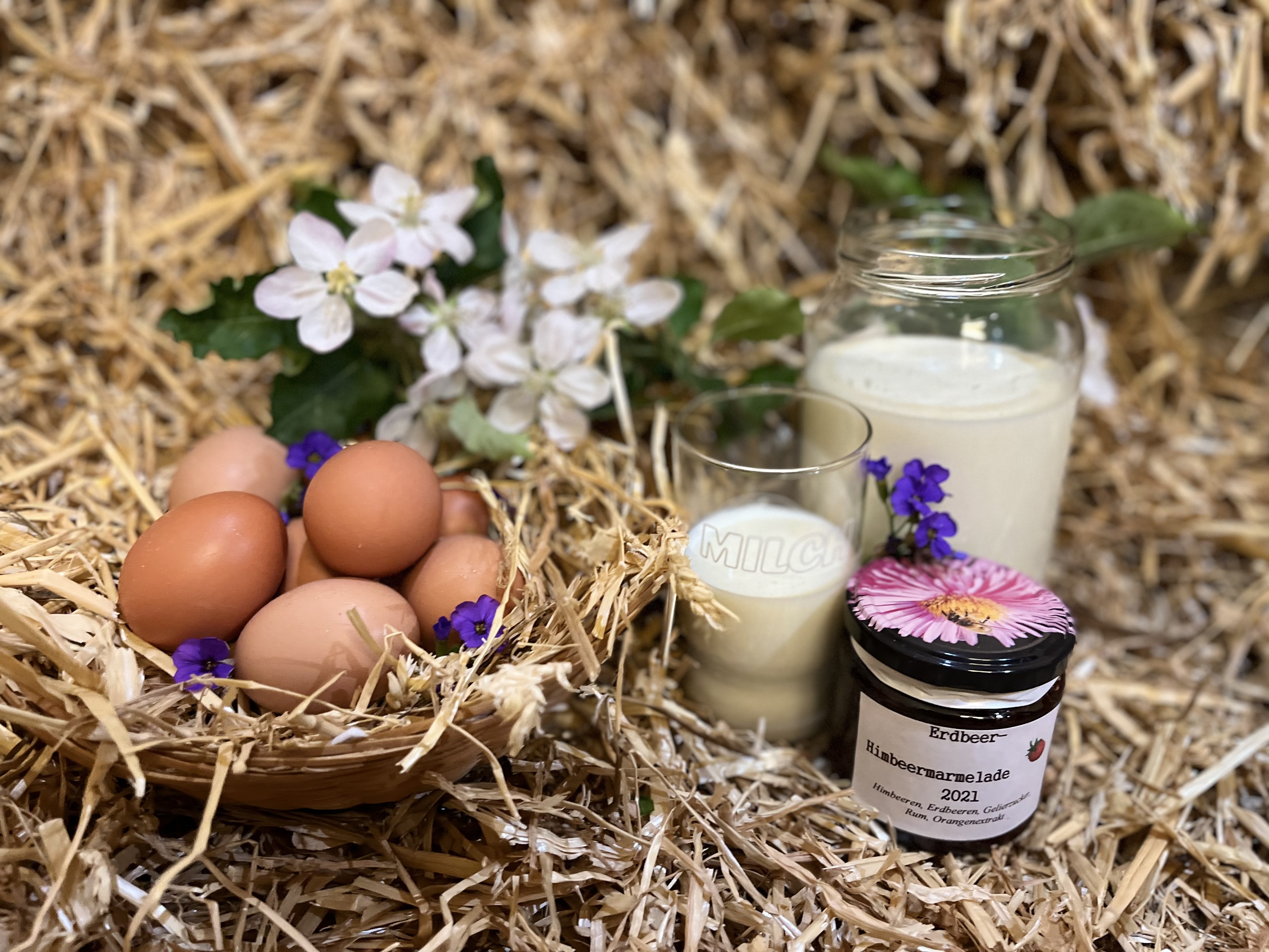 Reisemobilstellplatz: Milch und Eier vom Hof - Thomanhof - mitten in den Bergen