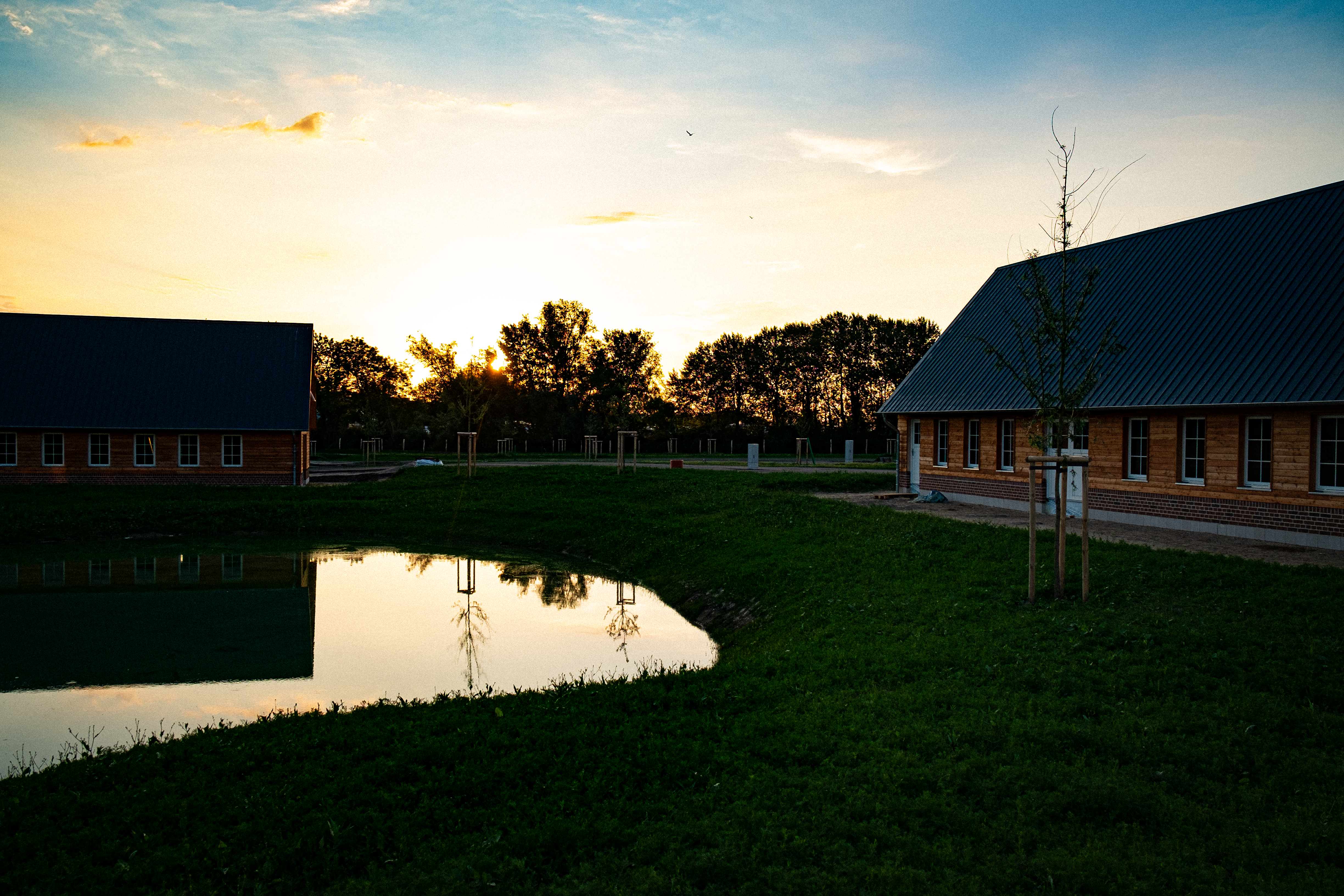 Wohnmobilstellplatz: Wohnmobilstellplatz Gut Damp Dorotheenpark - Gut Damp Dorotheenpark