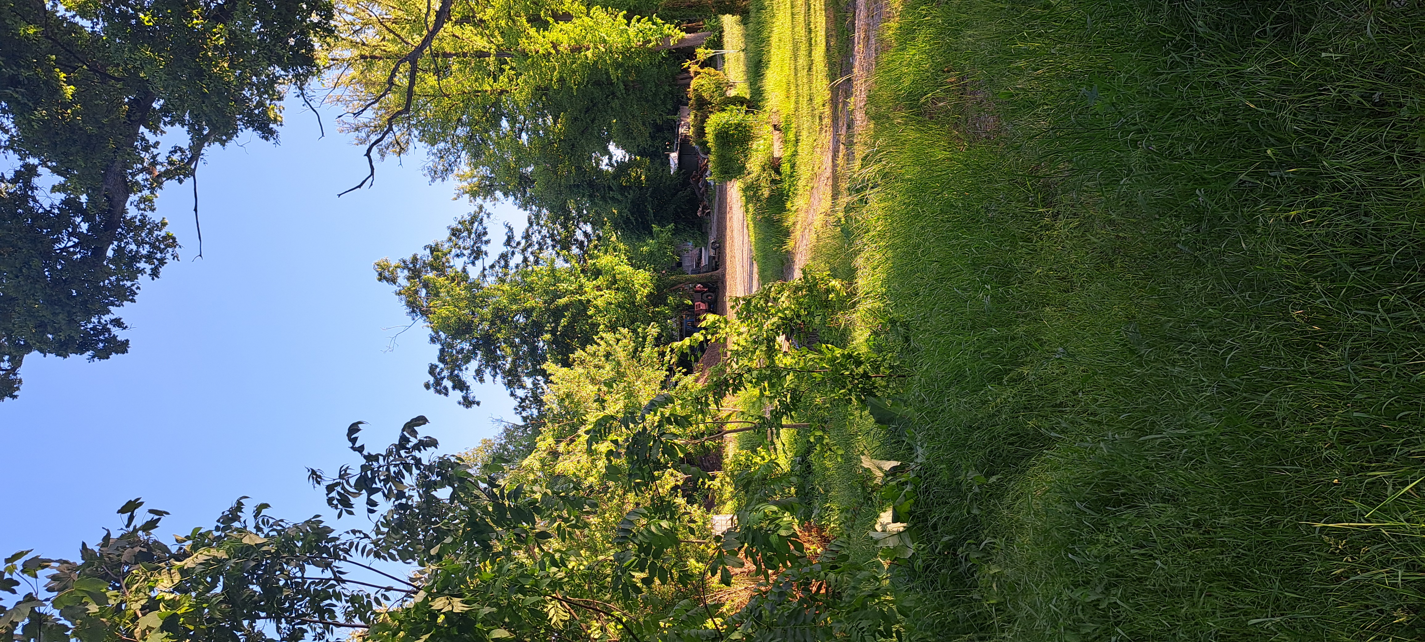 Wohnmobilstellplatz: Safety Camping 