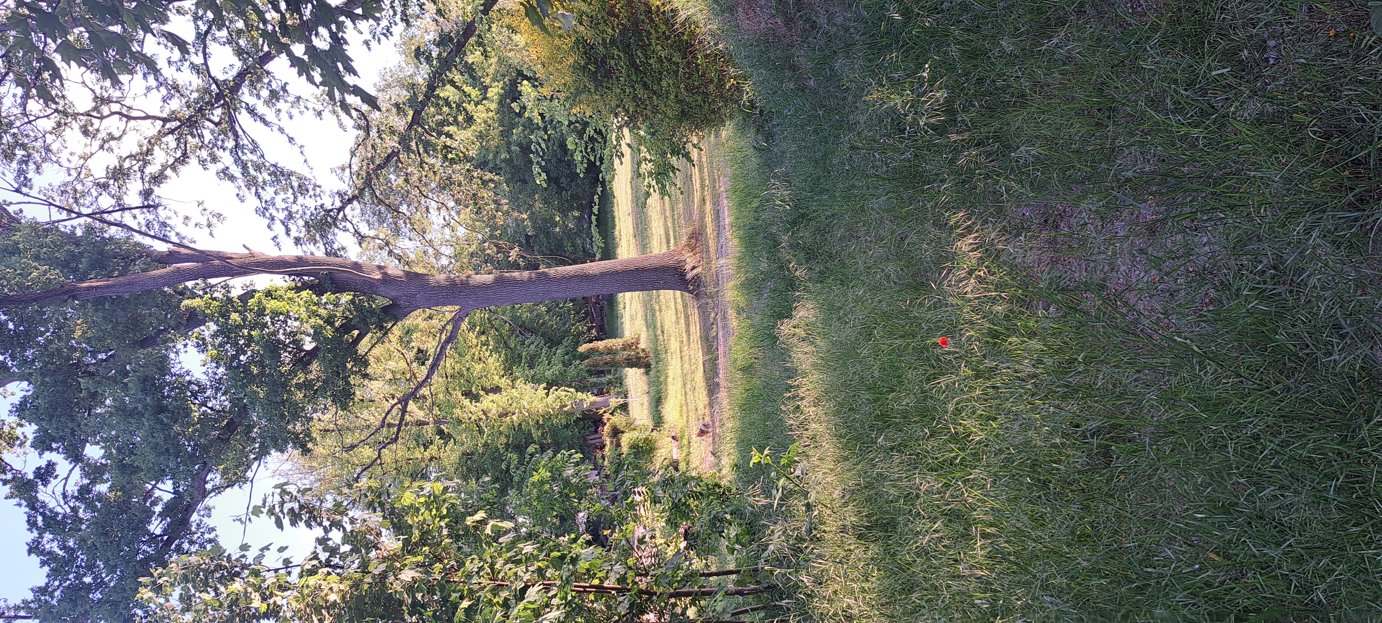 Wohnmobilstellplatz: Safety Camping 