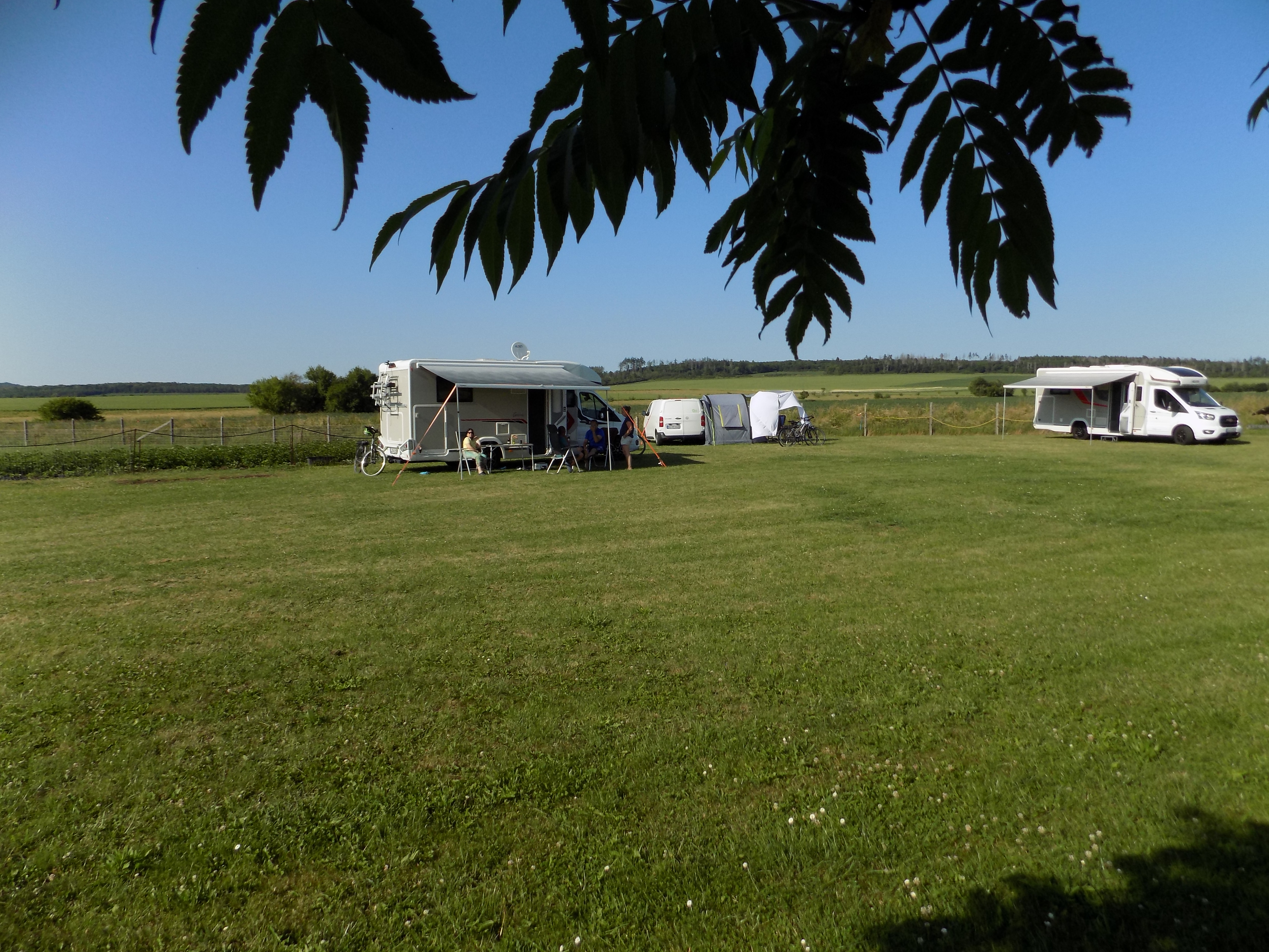 Wohnmobilstellplatz: große ebene trockne Wiese - ALPAKACAMPING-Erlebnisse + "Natur- Komfort- Wohnmobil-Stellplätze"  