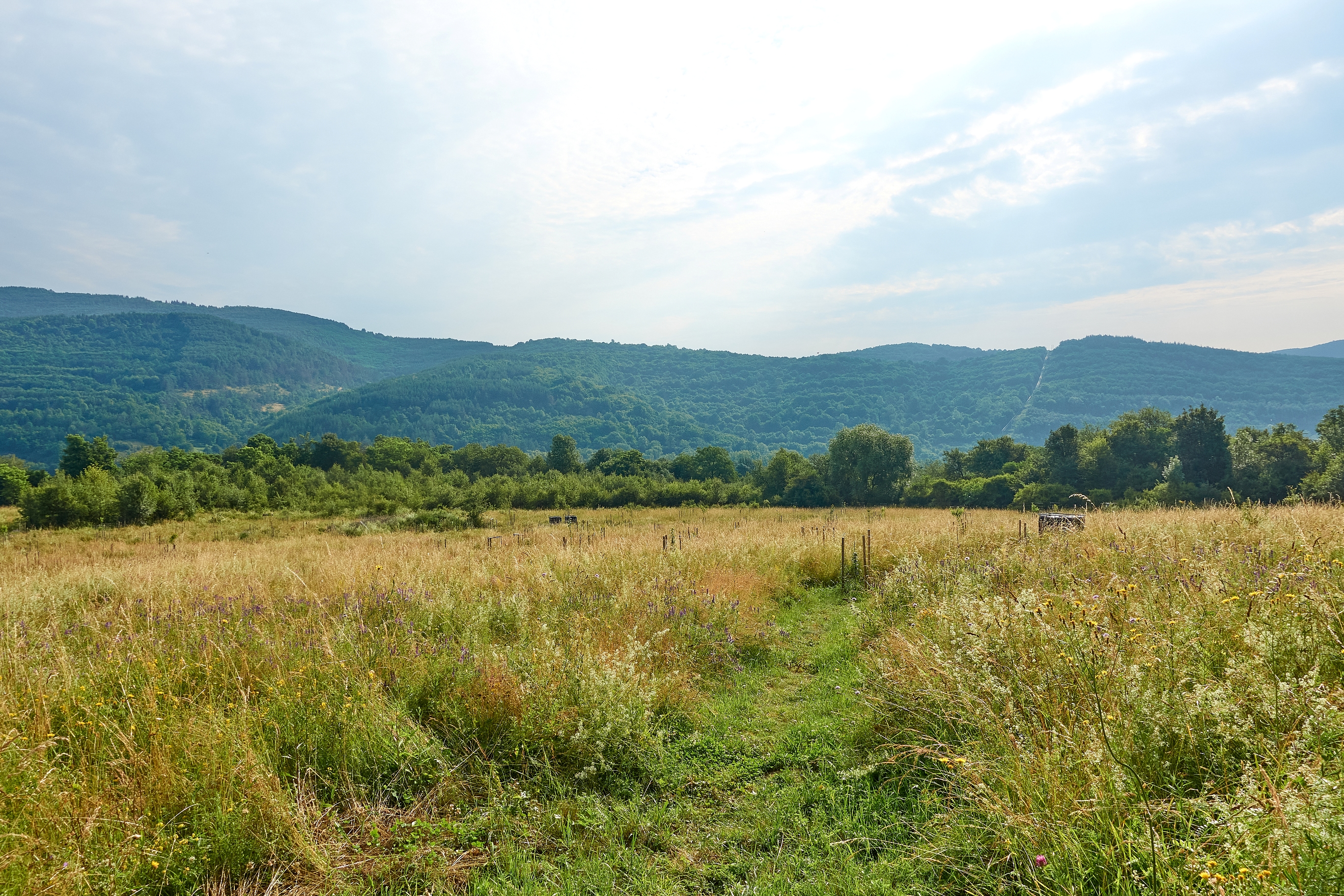 Place de parking pour camping-car - Horné Plachtince - Farma pod Vlciu