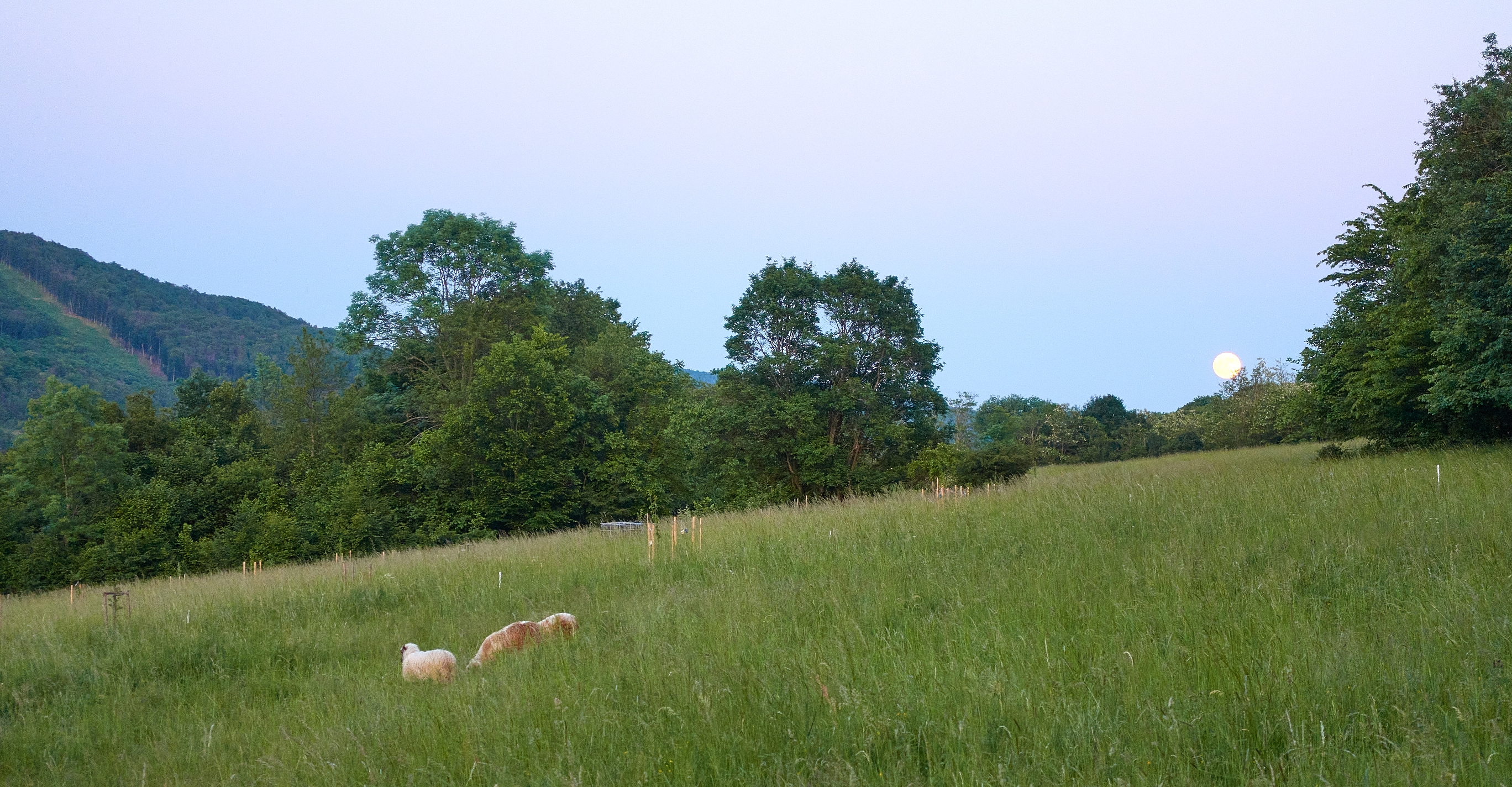 Place de parking pour camping-car - Horné Plachtince - Farma pod Vlciu