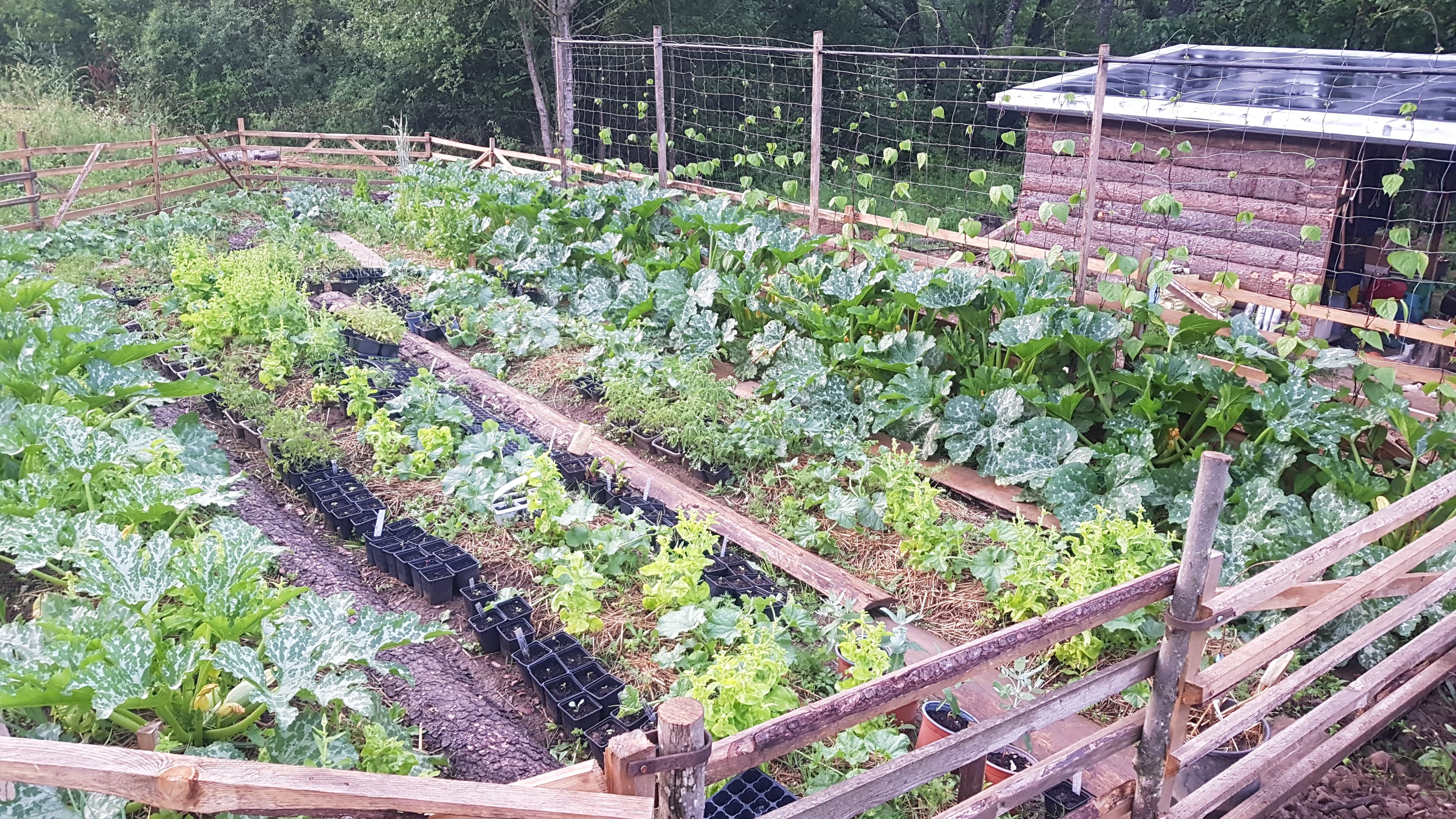 Reisemobilstellplatz: Farma pod Vlciu