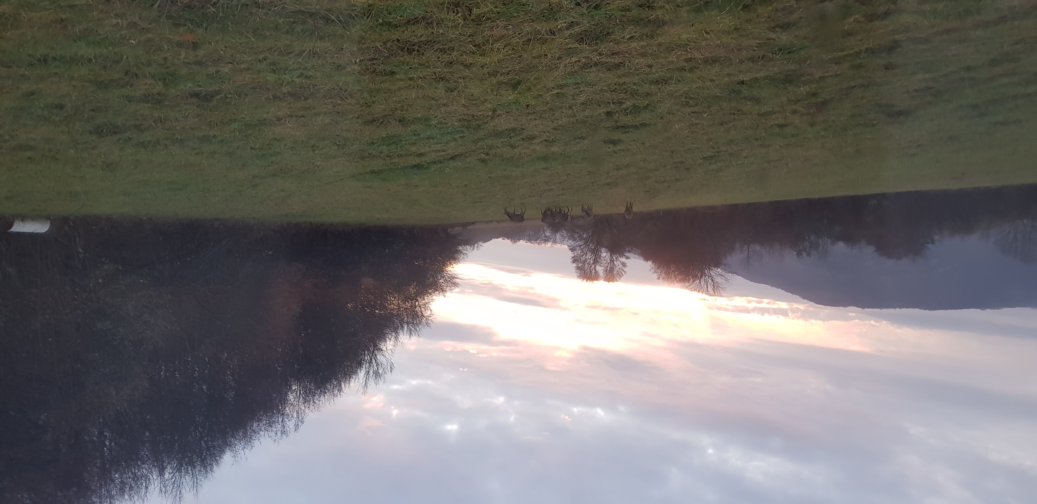 Place de parking pour camping-car - Horné Plachtince - Farma pod Vlciu