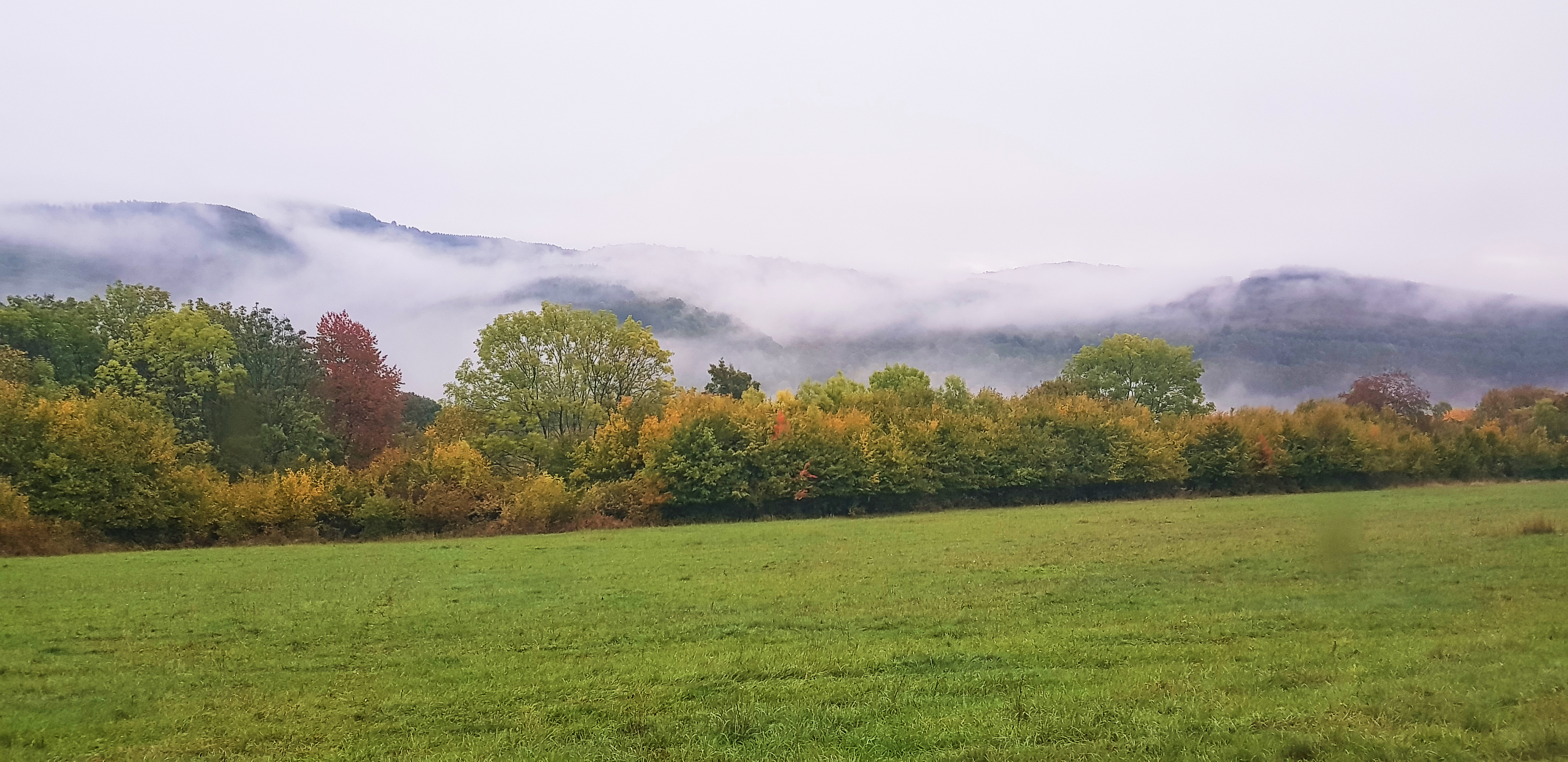 Reisemobilstellplatz: Farma pod Vlciu