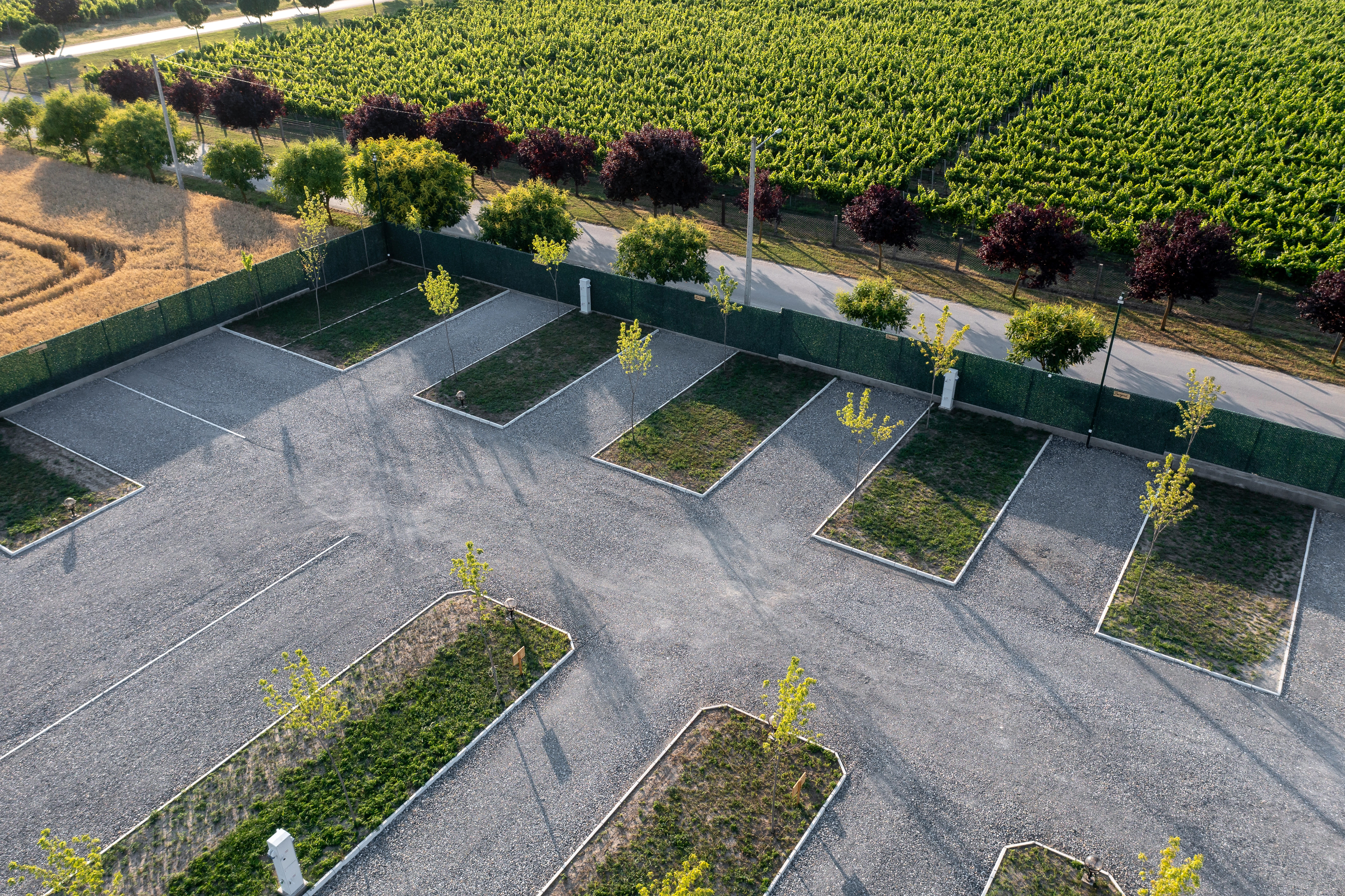 Wohnmobilstellplatz: Row of level gravel pitches at Camping Palić, lined with young trees and vineyard views - easy access for caravans and motorhomes. - Camping Palić