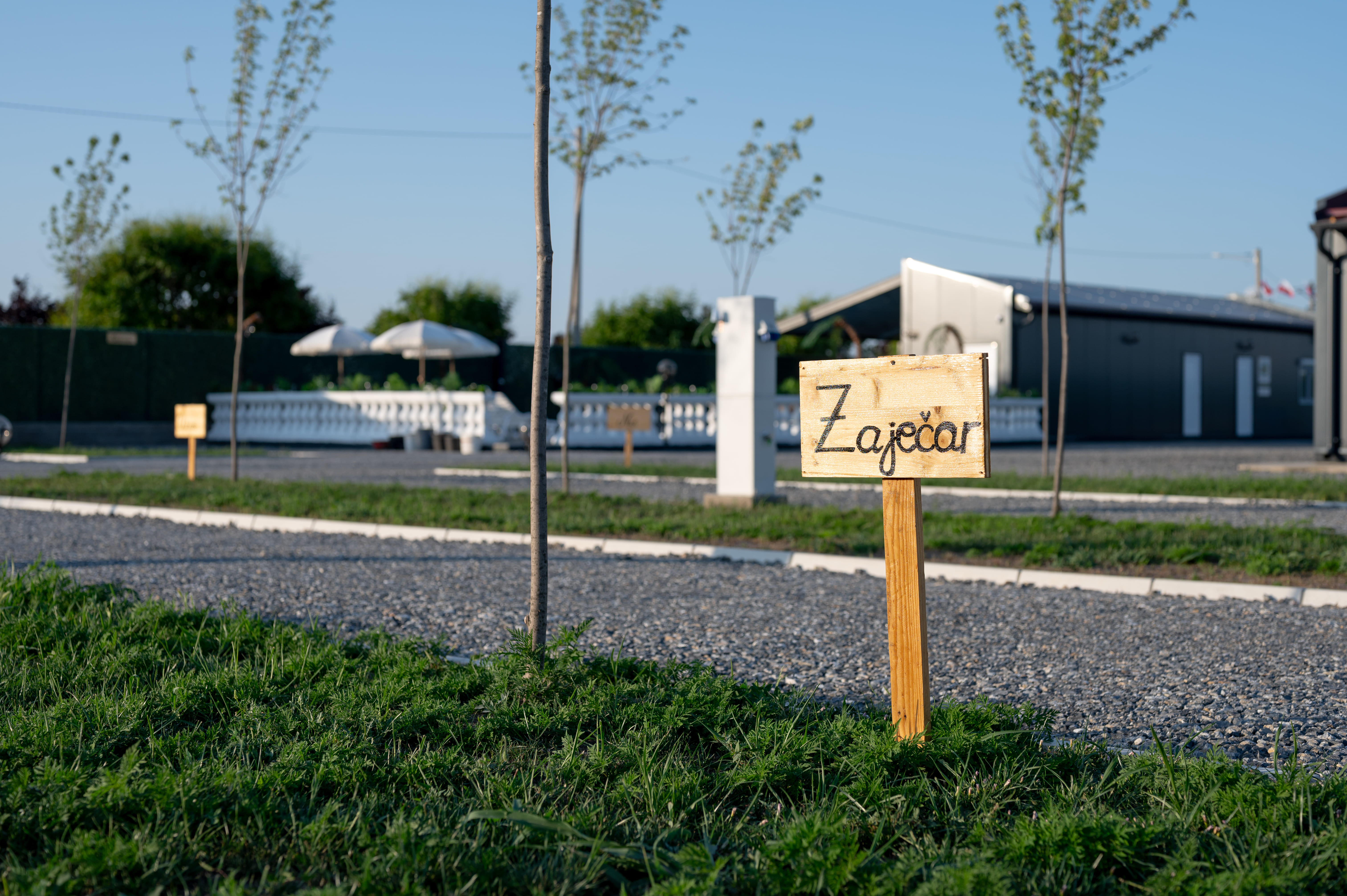 Wohnmobilstellplatz: Marked camping pitch at Camping Palić, surrounded by greenery with pool and café nearby. - Camping Palić