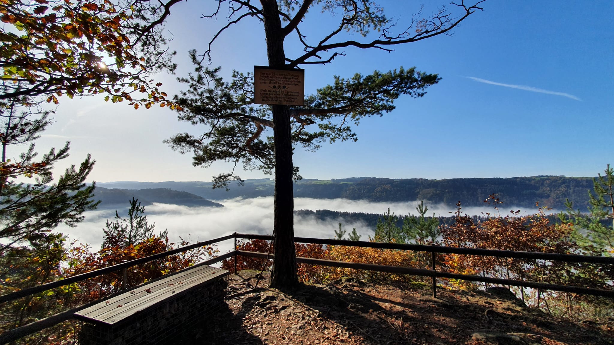 Wohnmobilstellplatz: Aussichtspunkt Steiner Felsen im Herbst - Naturwunder Stellplatz Donaublick (Steiner-Felsen)