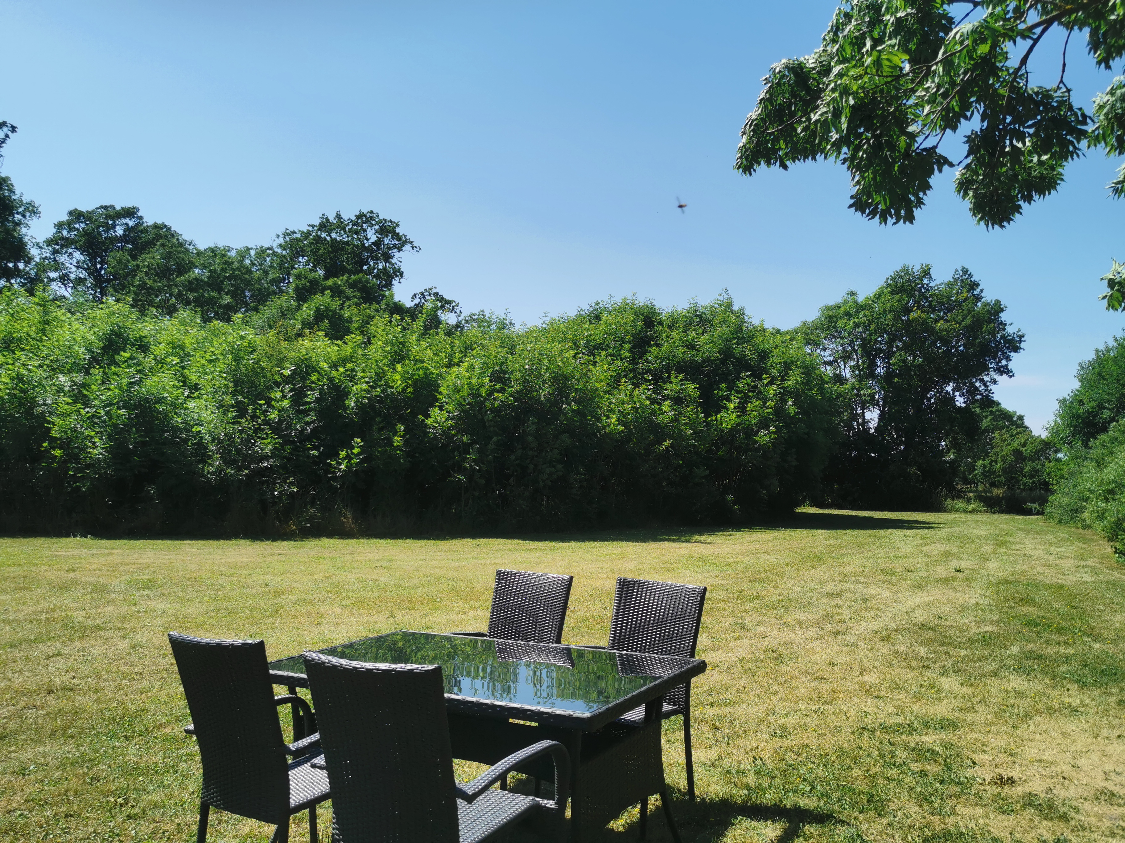 kampeerplaats voor campers - Hunde erlaubt: Hunde erlaubt - Zweden - Qvibergs Ställplatser