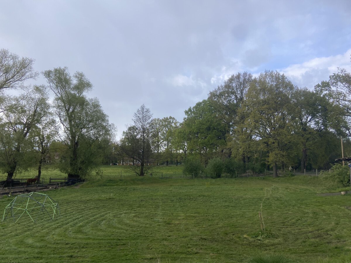 Wohnmobilstellplatz: Wiesenfläche - Bauernhofromantik Dübener Heide