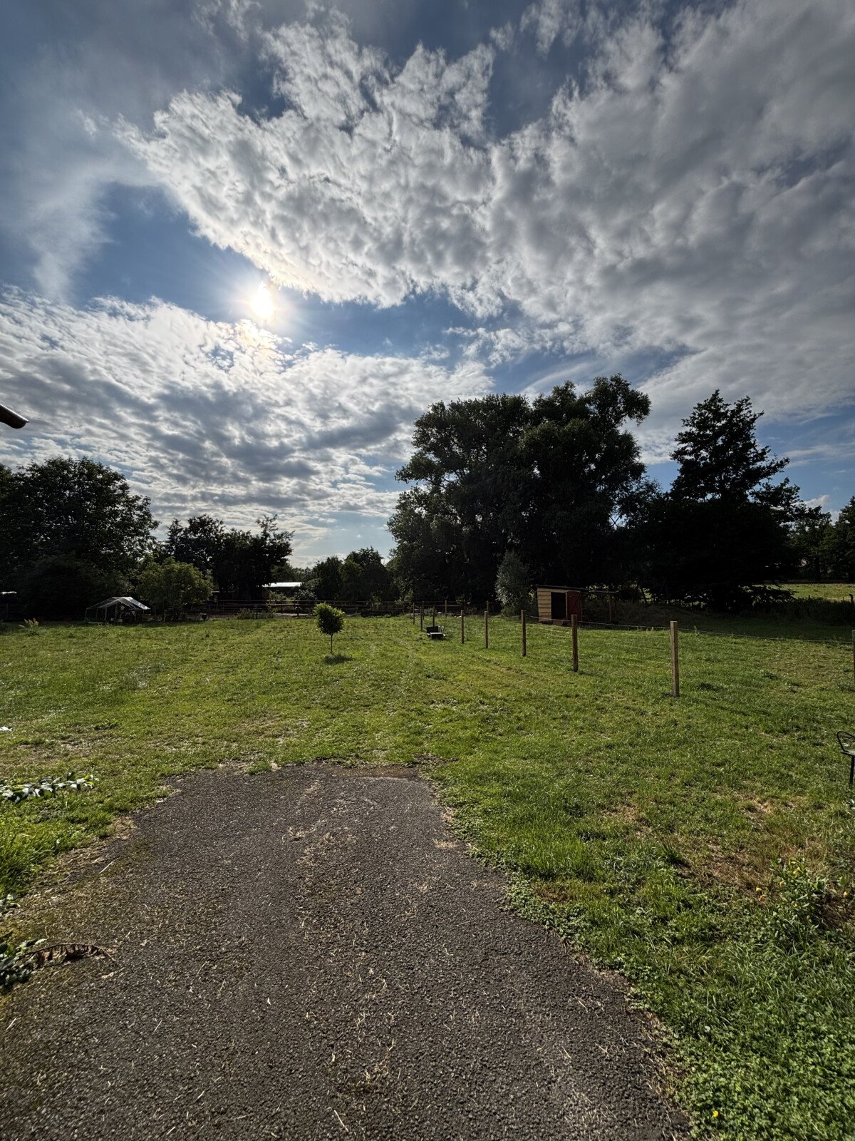 Wohnmobilstellplatz: Betonierte Einfahrt auf das Grundstück - Bauernhofromantik Dübener Heide