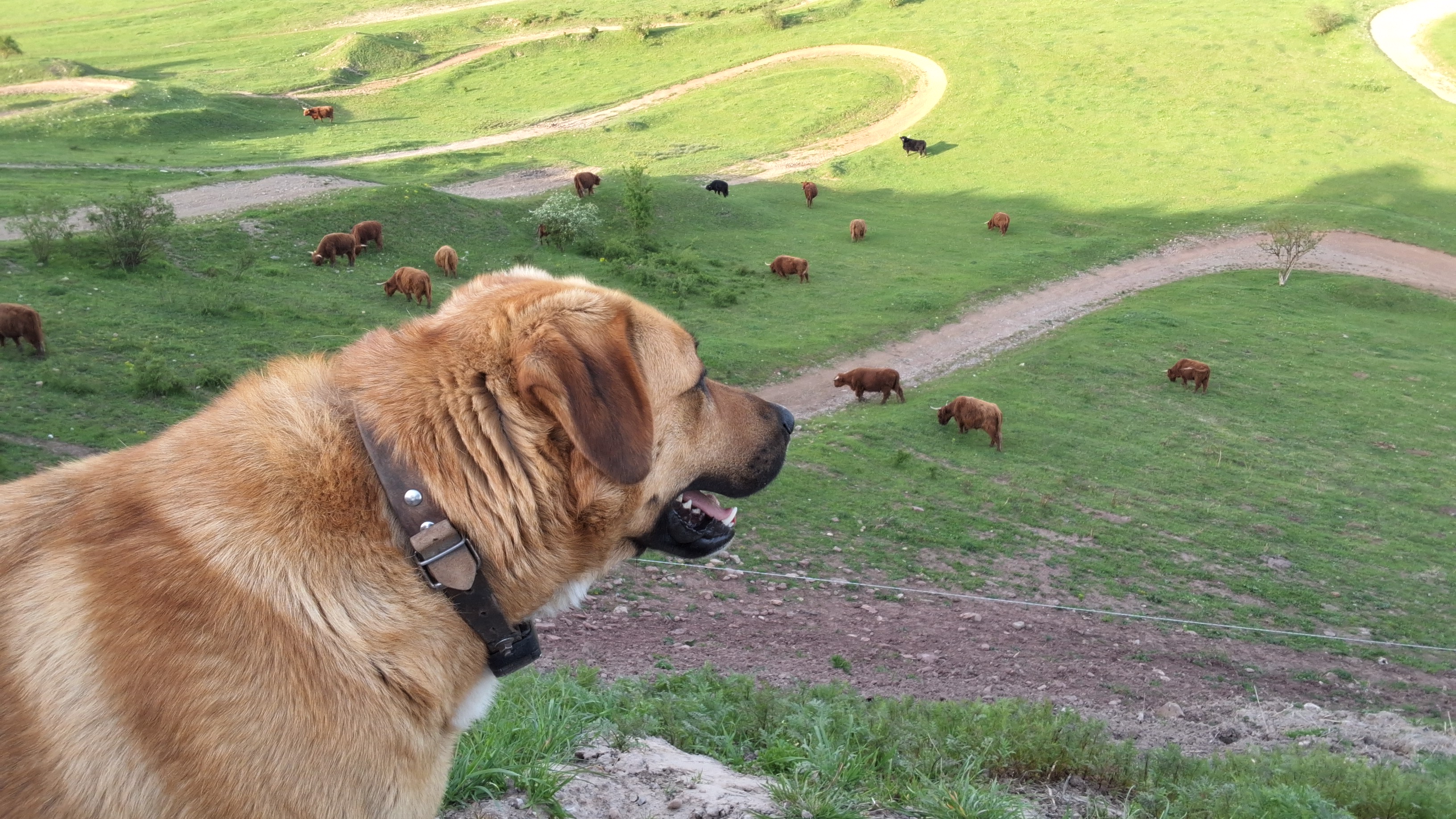 Wohnmobilstellplatz: Adventureland Marisfeld 