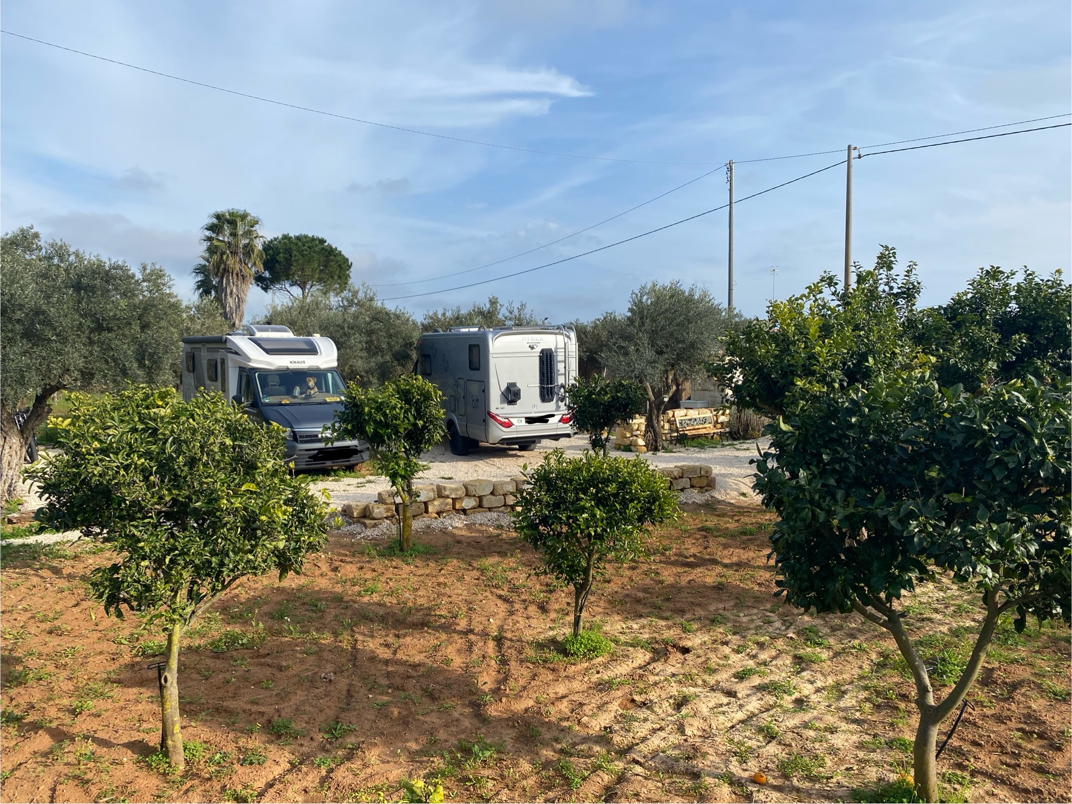 Wohnmobilstellplatz: Platz - Camping 🅿️ Villa Medusa - Emplacements, zone