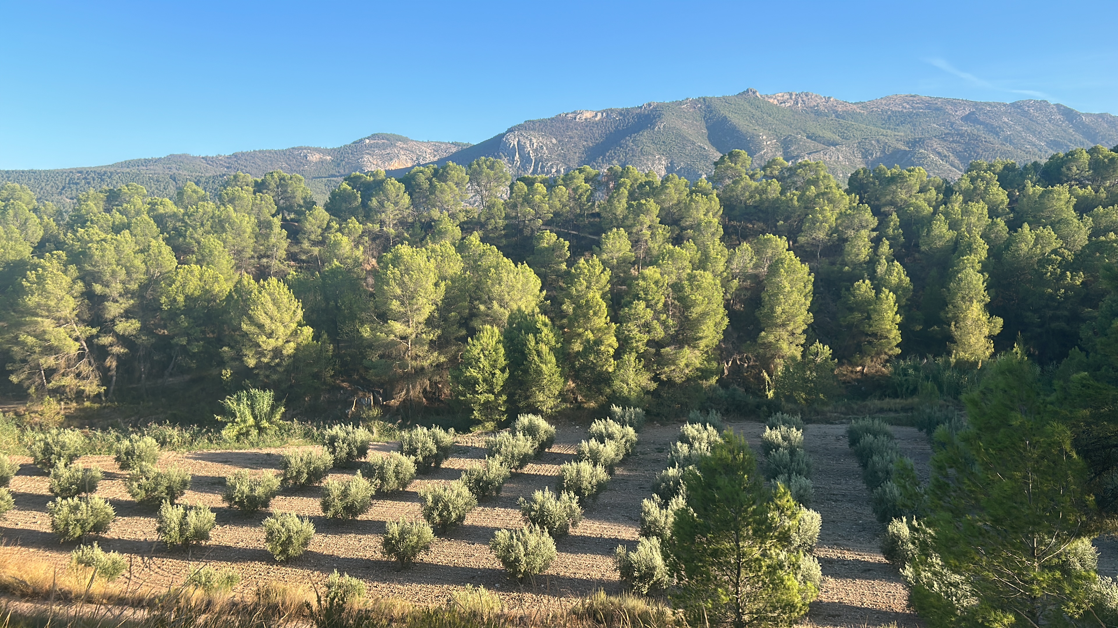 Place de parking pour camping-car - Espagne - Ausblick  - Casa Laluco an der Sierra Espuna