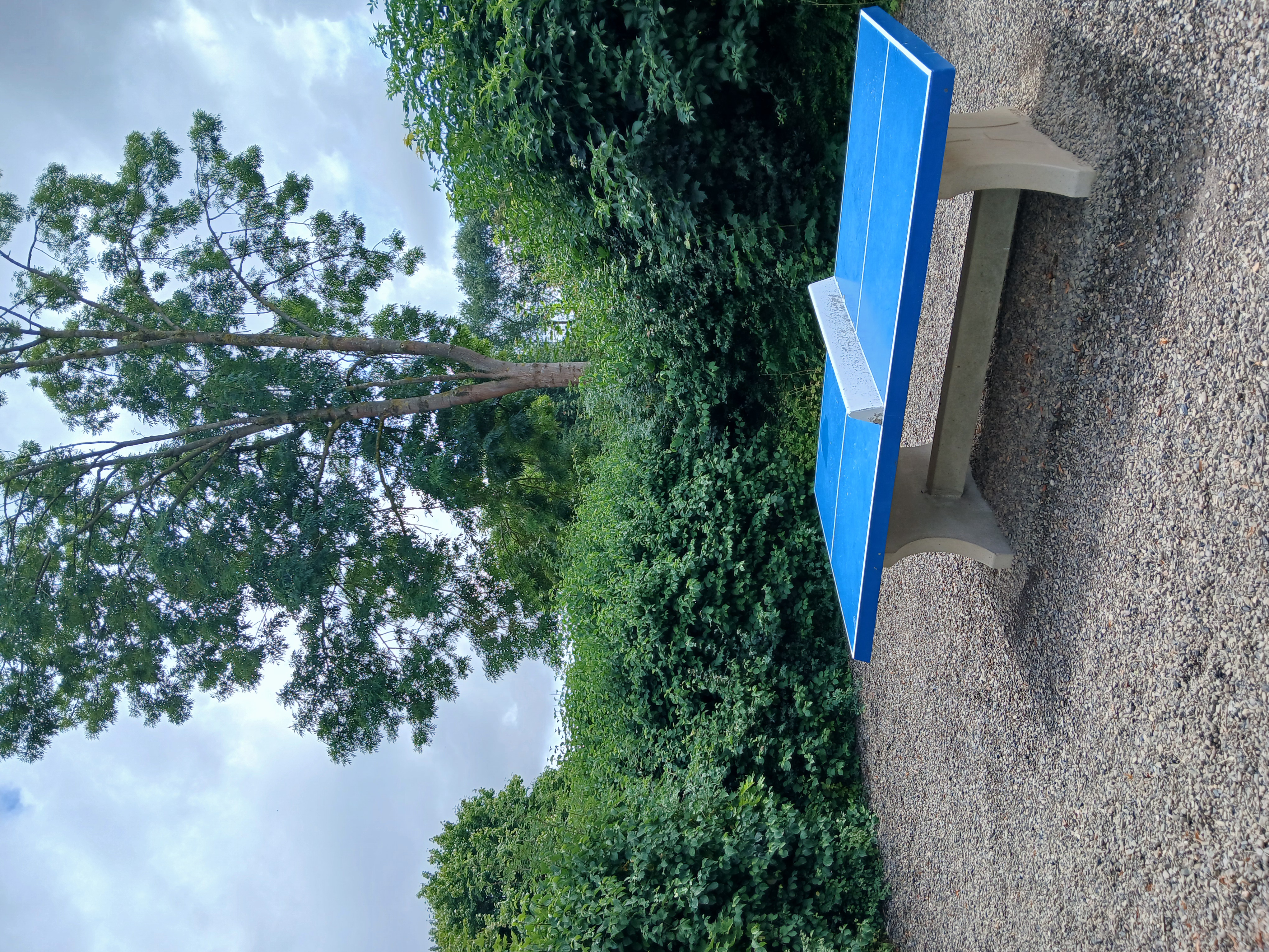 Wohnmobilstellplatz: Comfort Camping Seeburger See