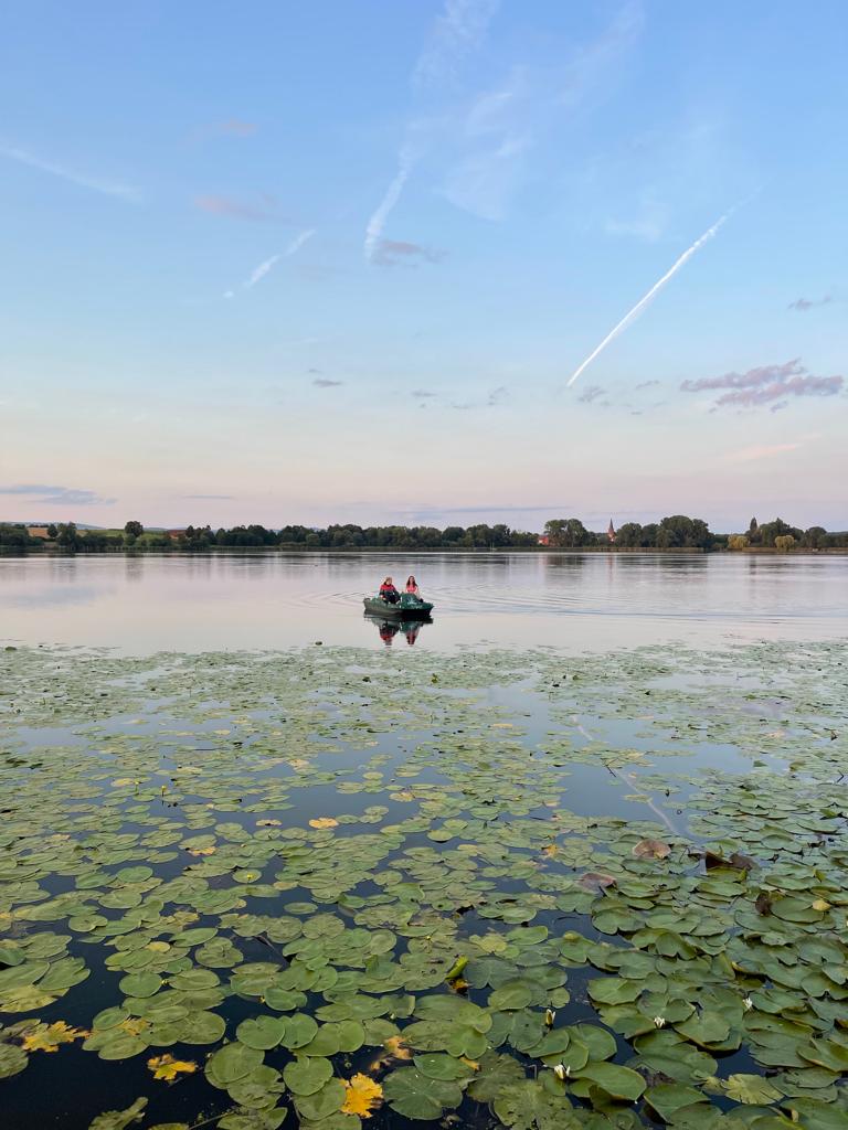 Wohnmobilstellplatz: Comfort Camping Seeburger See