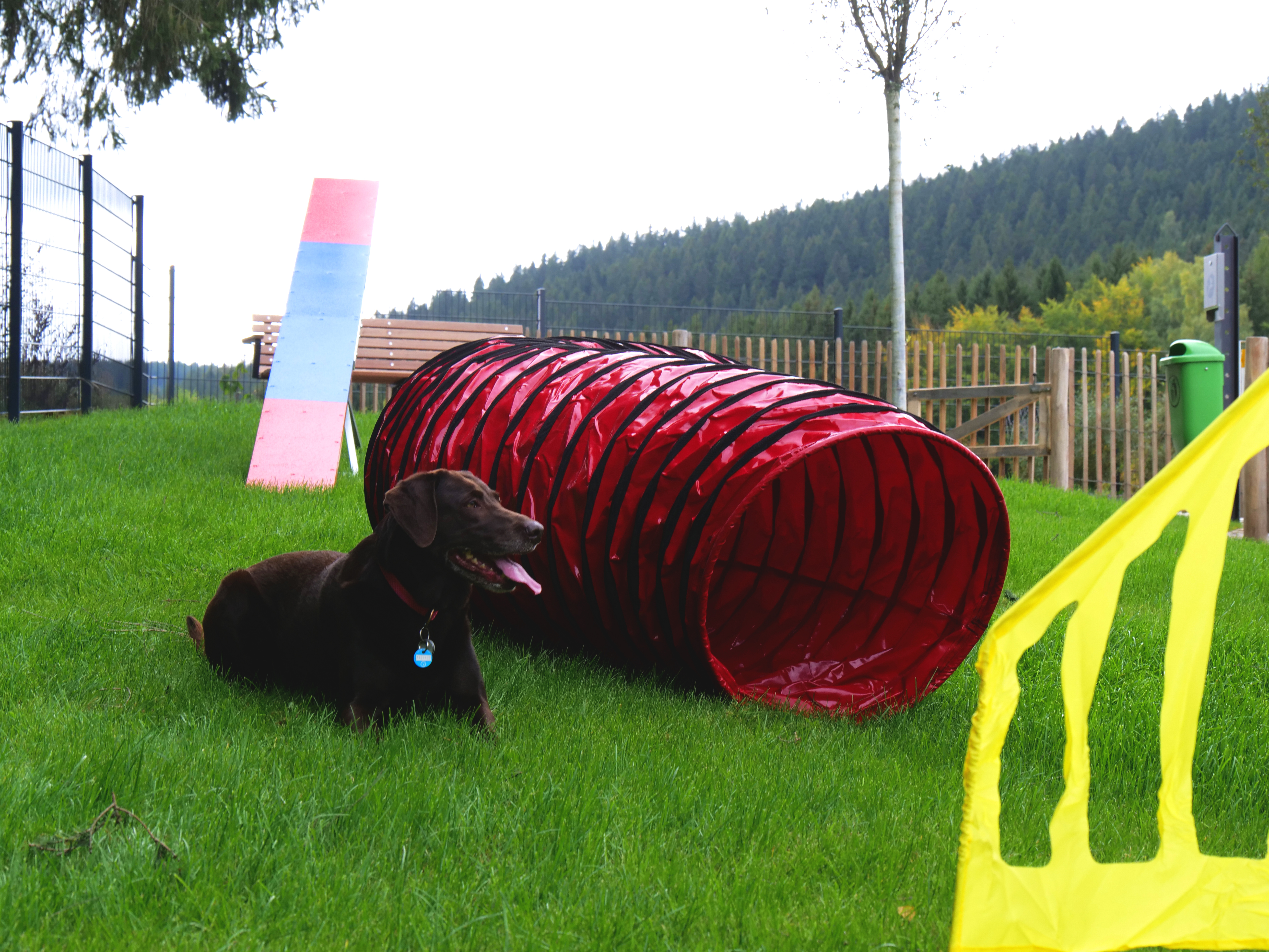 Wohnmobilstellplatz: Hundespielplatz - Glück Auf - Der Erlebnispark Reisemobilhafen