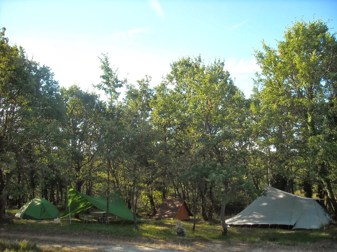 Wohnmobilstellplatz: Campingplatz - Le Streghe Agriturismo