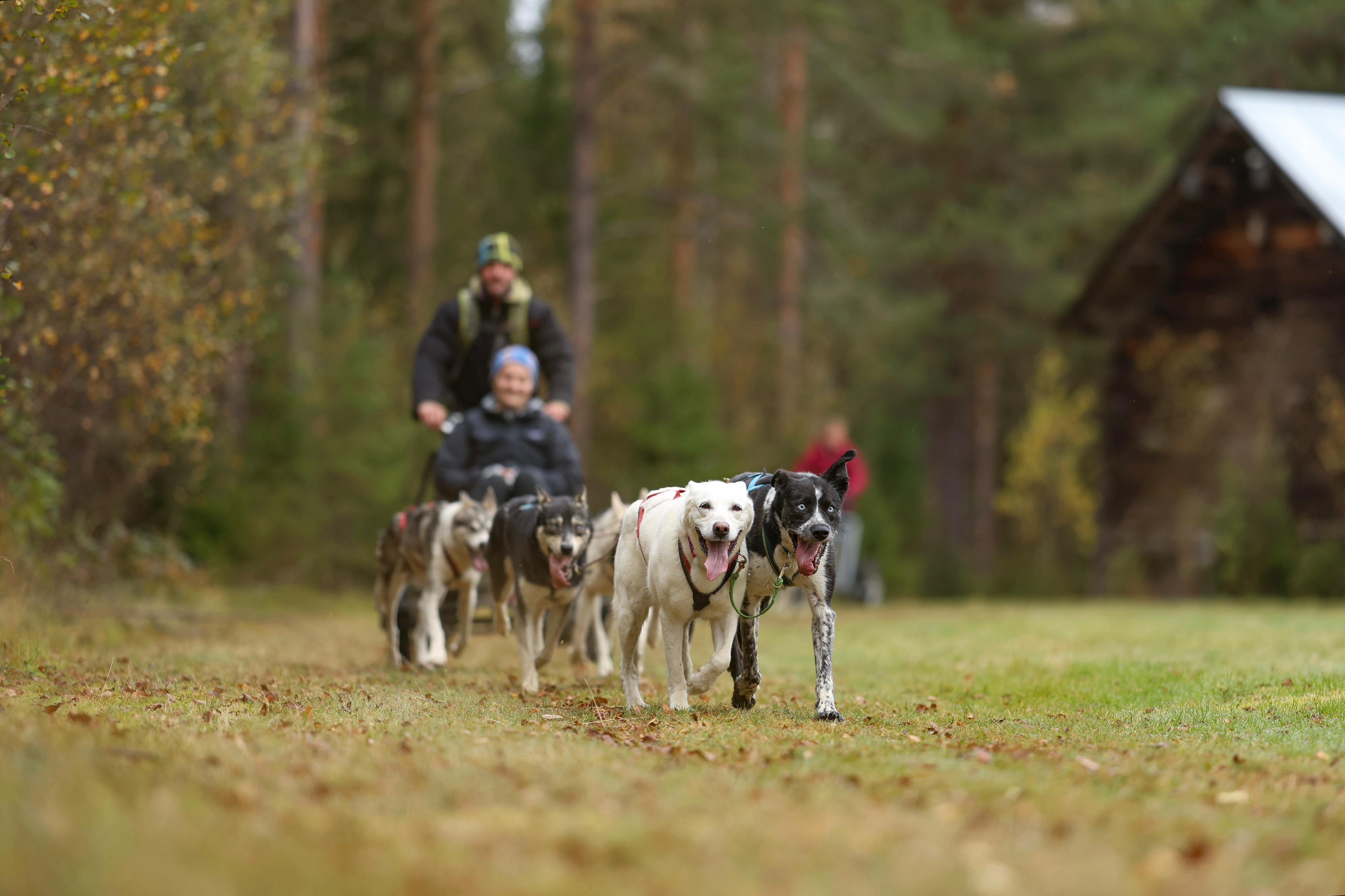 kampeerplaats voor campers - Noord-Zweden - Lapland Adventures 