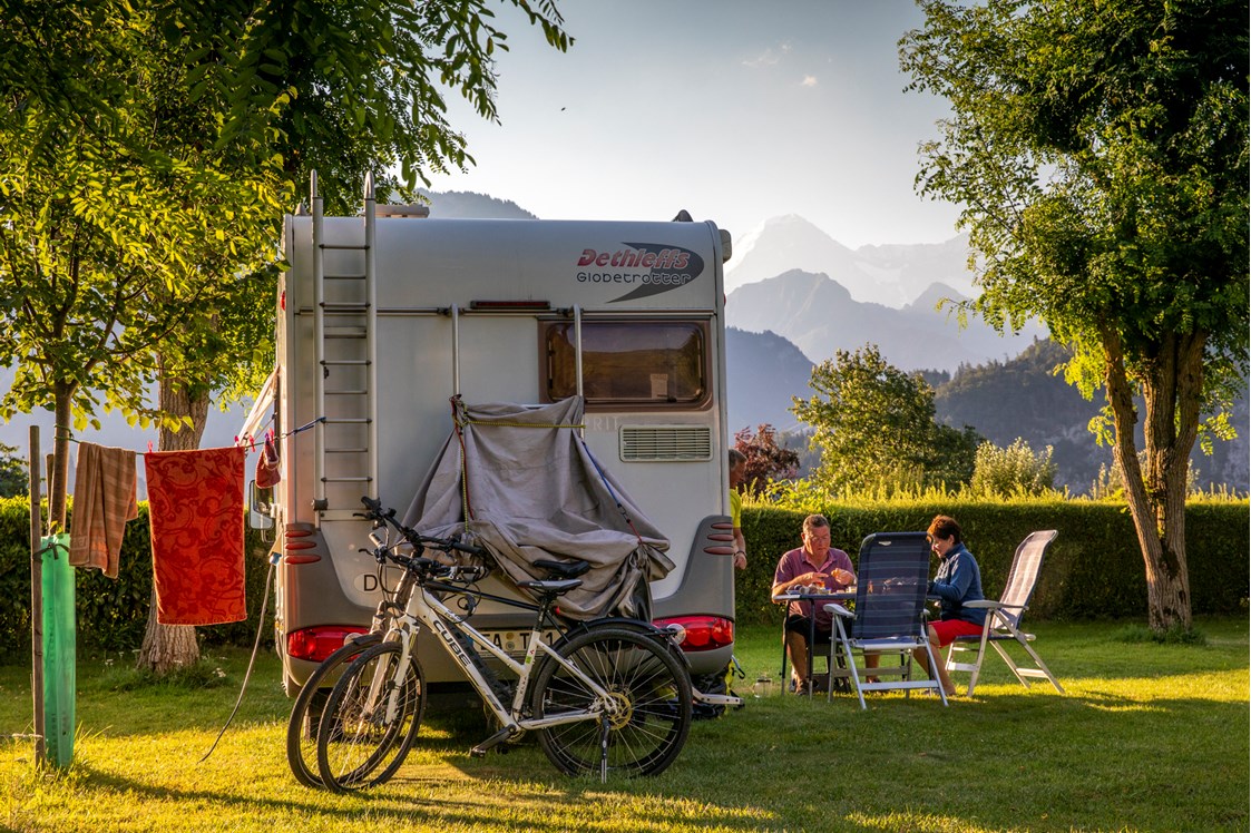 Wohnmobilstellplatz: Grasplatz mit Bäumen - Camping Hobby 3