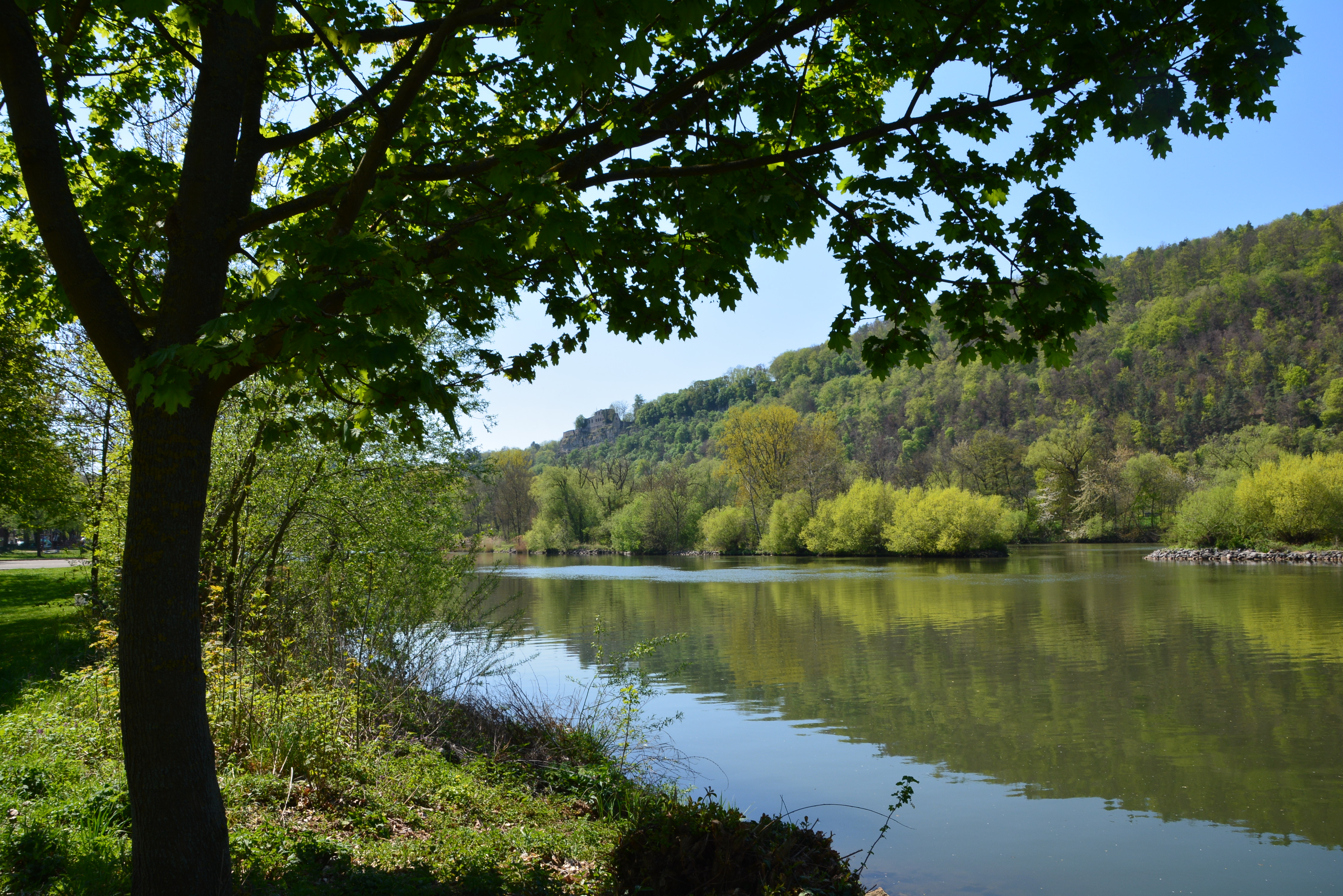 Wohnmobilstellplatz: Spessart-Camping Schönrain