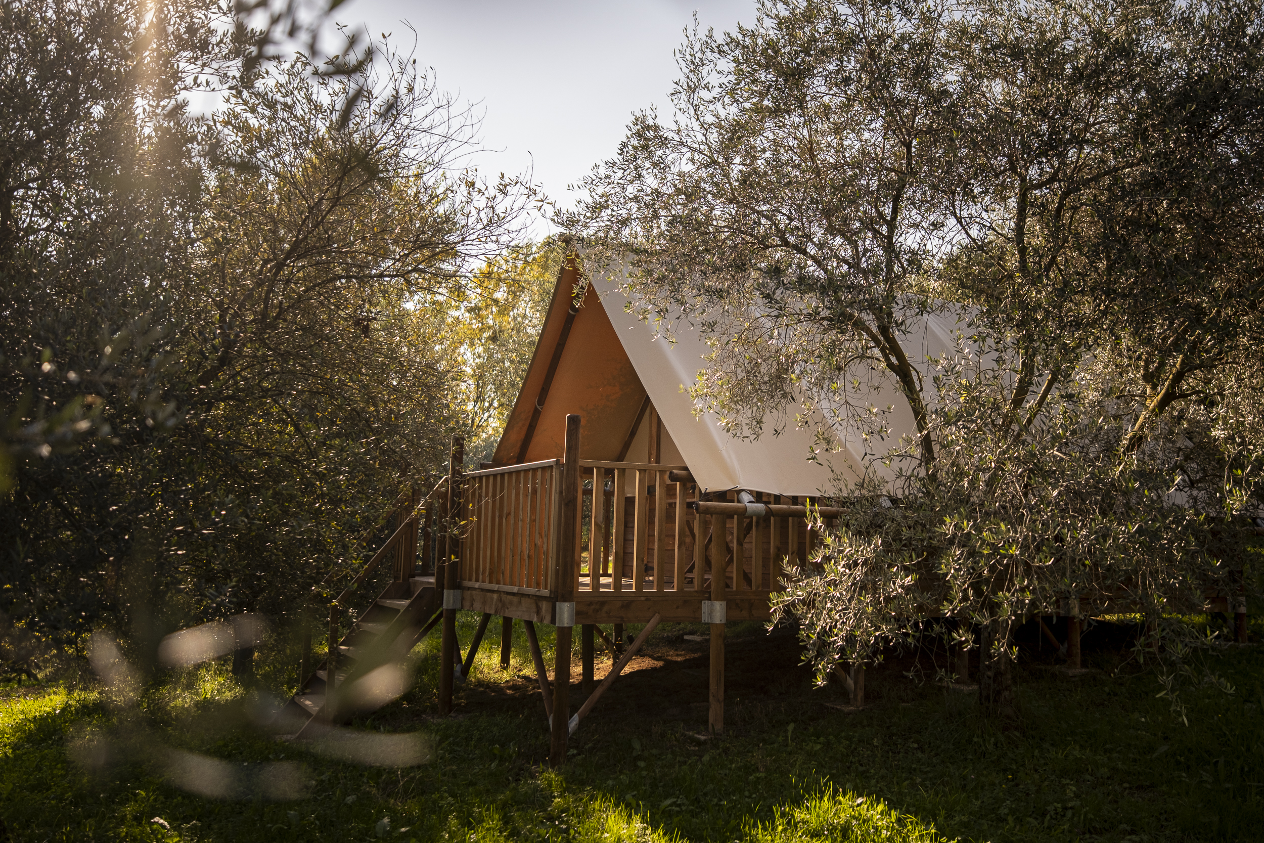 Wohnmobilstellplatz: Agri-Glamping Il Bosco di Marino