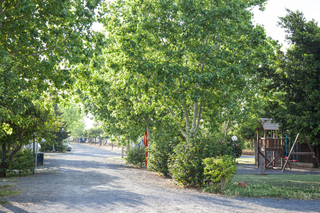 Wohnmobilstellplatz: Spielplatz - Oasi Park Falconara