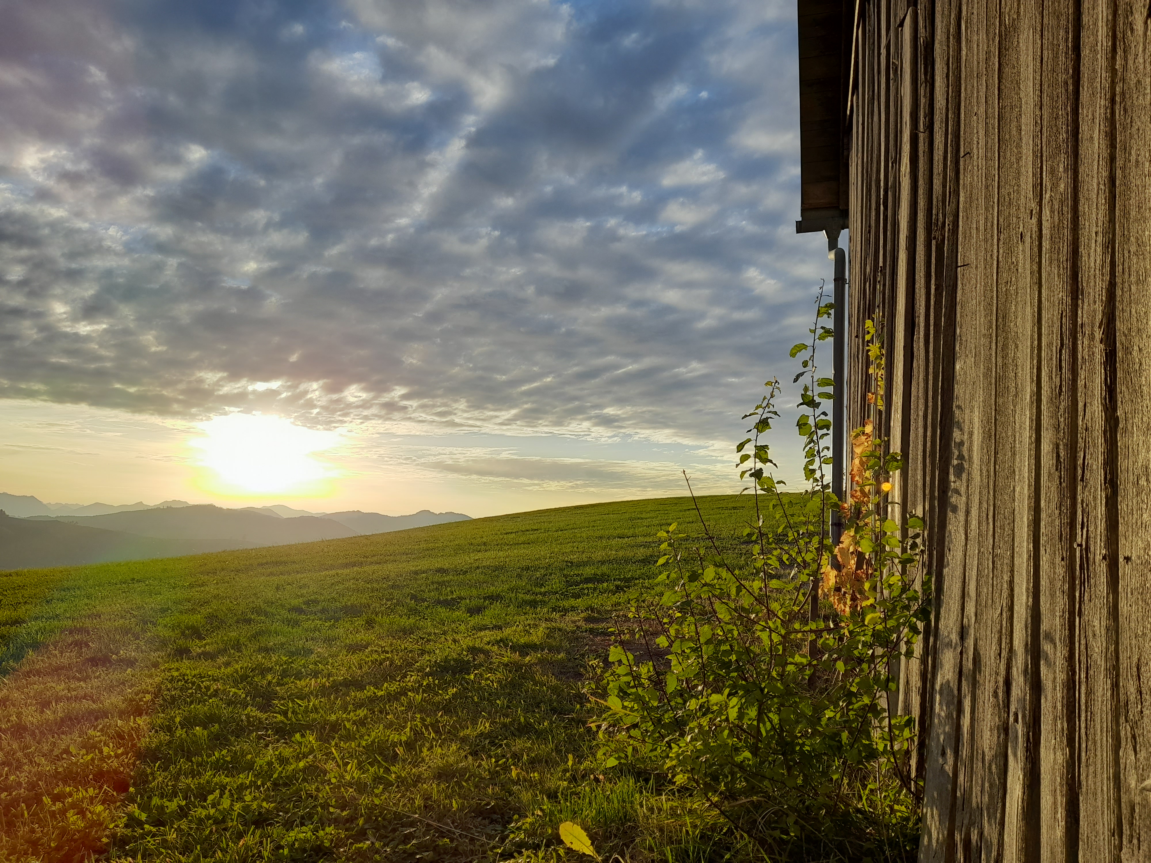 Wohnmobilstellplatz: Stellplatz Hof Rabenberg mit Blick ins Voralpenland