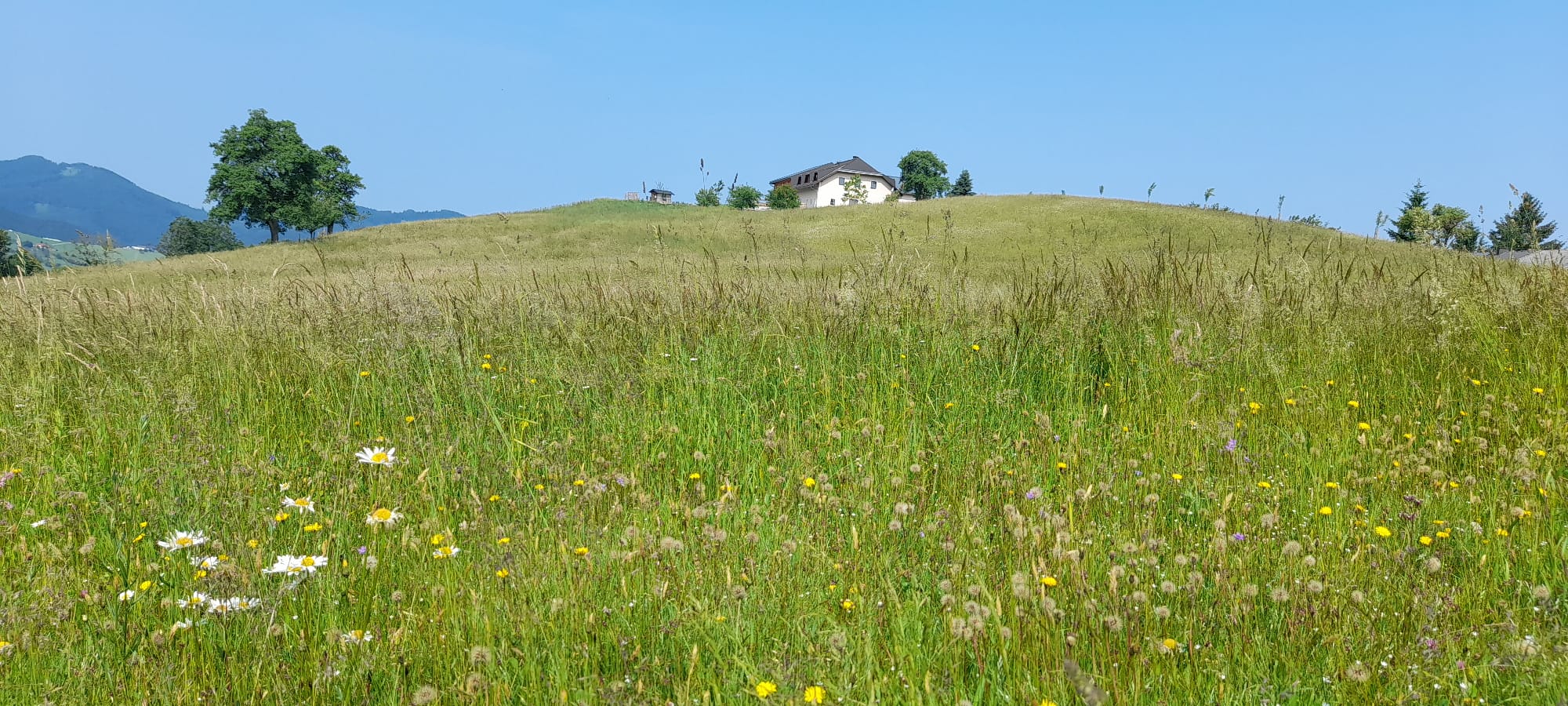 Wohnmobilstellplatz: Stellplatz Hof Rabenberg mit Blick ins Voralpenland