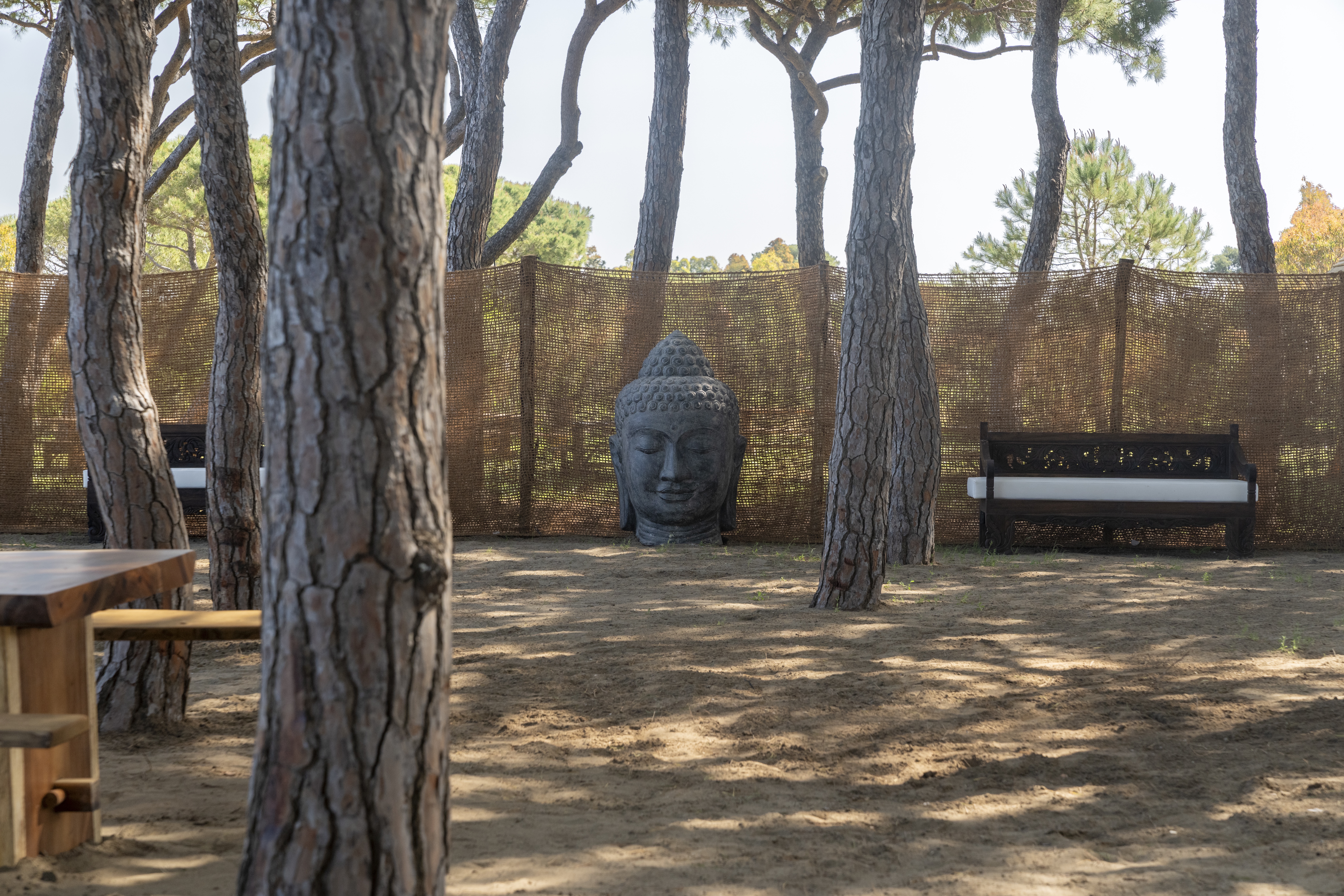 Wohnmobilstellplatz: Nomad Argentario