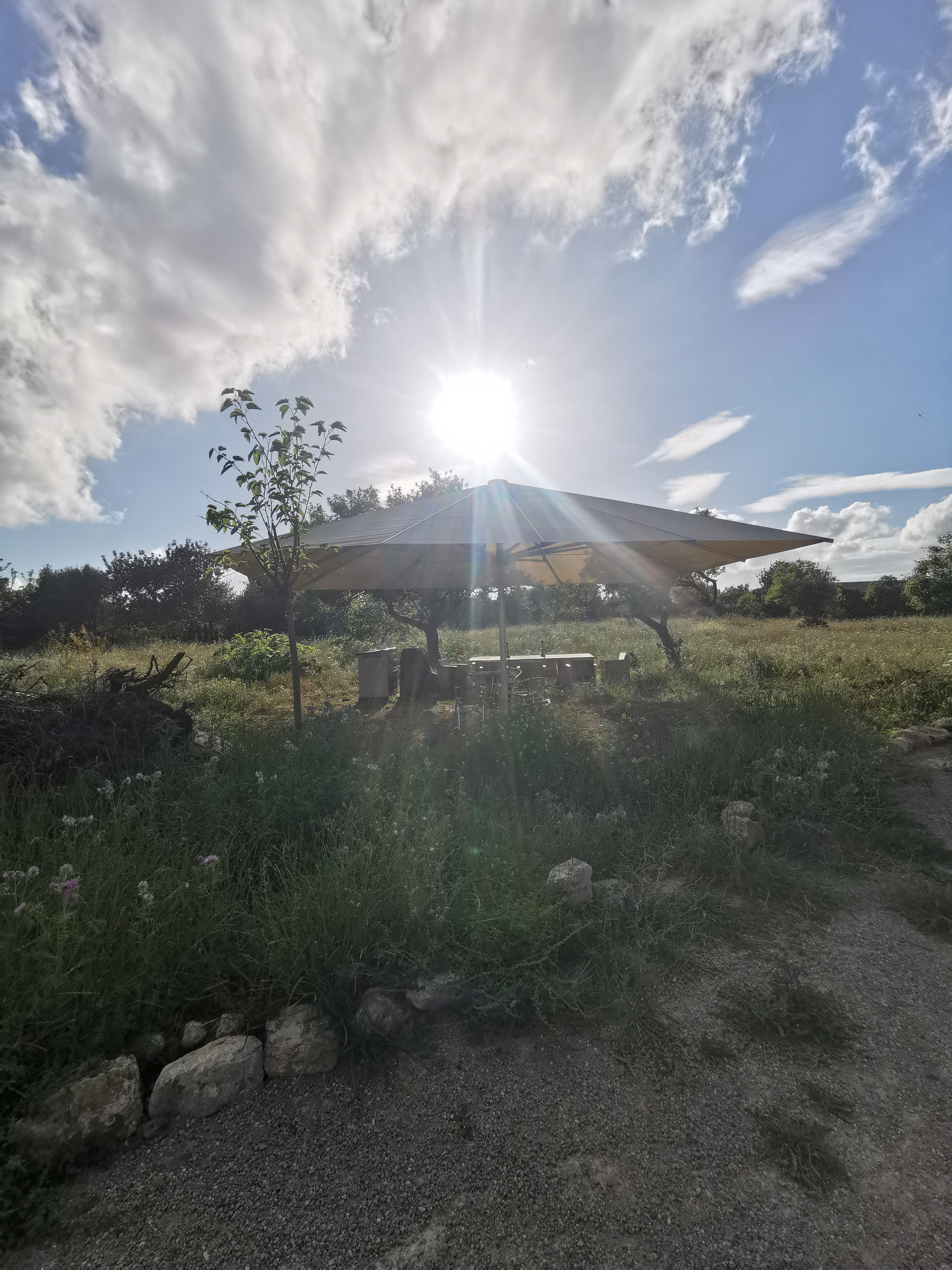 Reisemobilstellplatz: Ein Ausschnitt der Grundstücks.  - Mallorca finca love