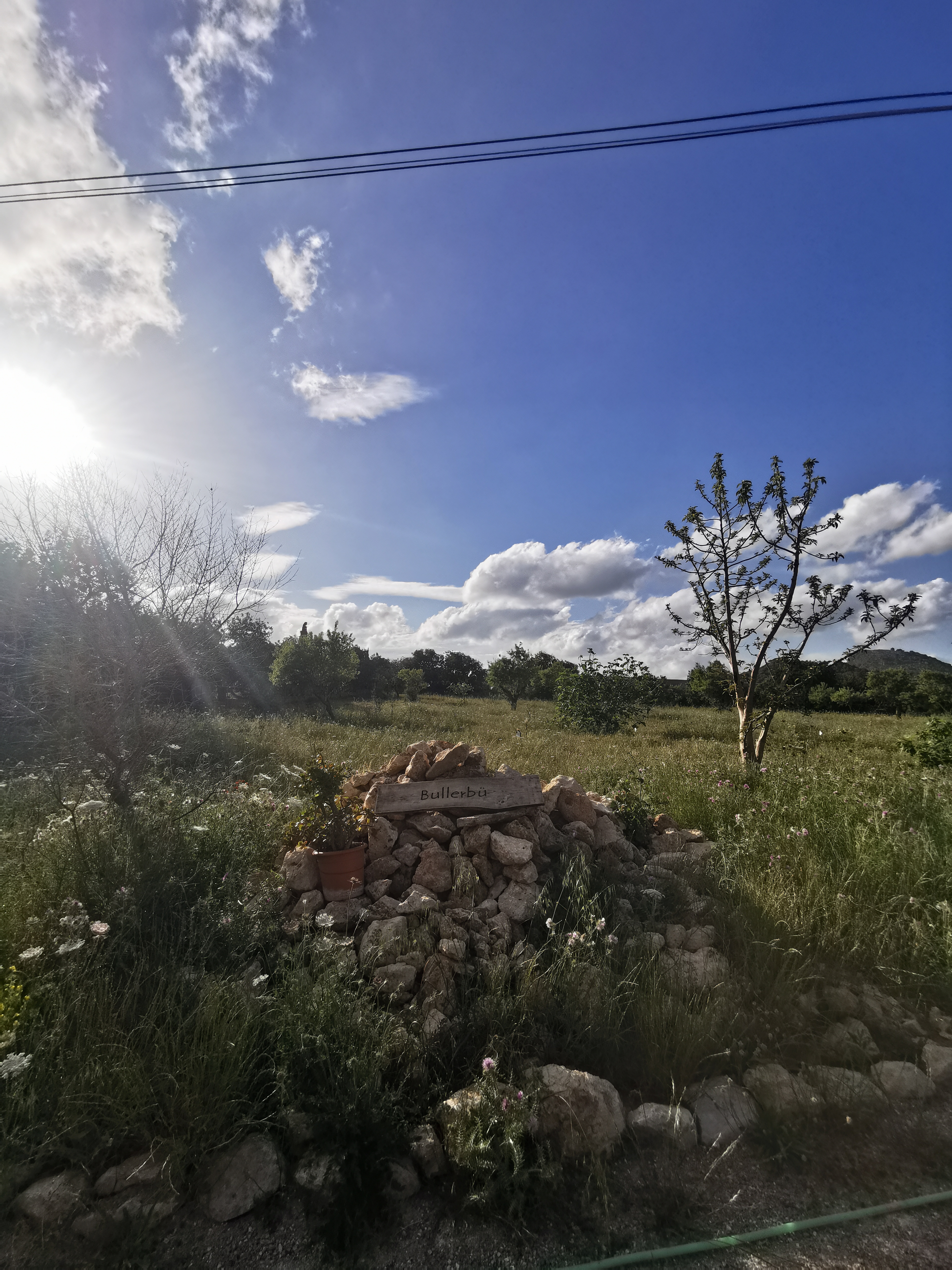 Reisemobilstellplatz: Willkommen in Bullerbü.  - Mallorca finca love