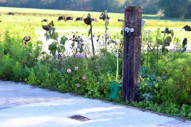 Area sosta per camper - Overdinkel - Camperplaats Erve Berg en Dal