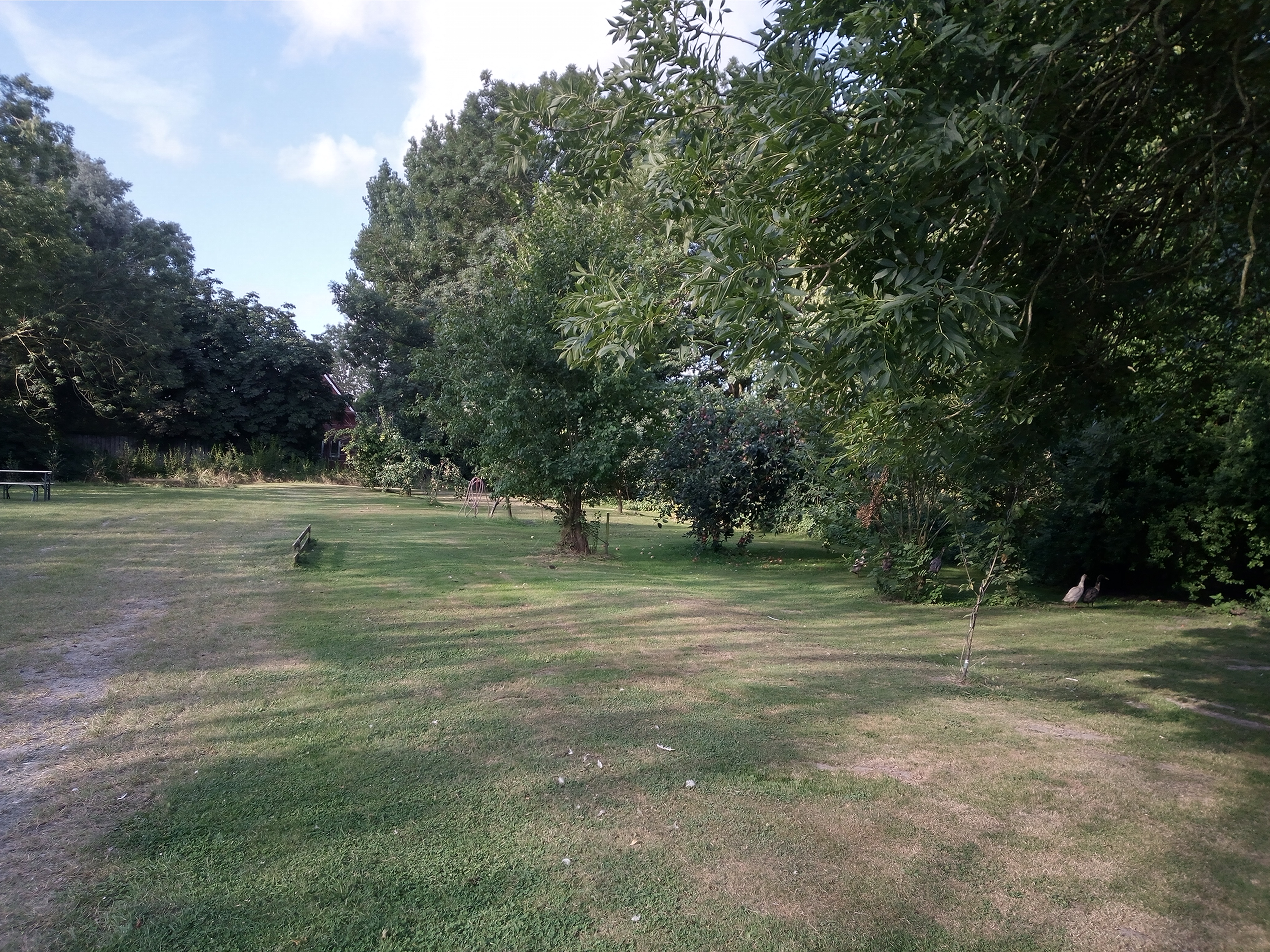 kampeerplaats voor campers - Radweg - Nedersaksen - Stellplatz - Nienhof