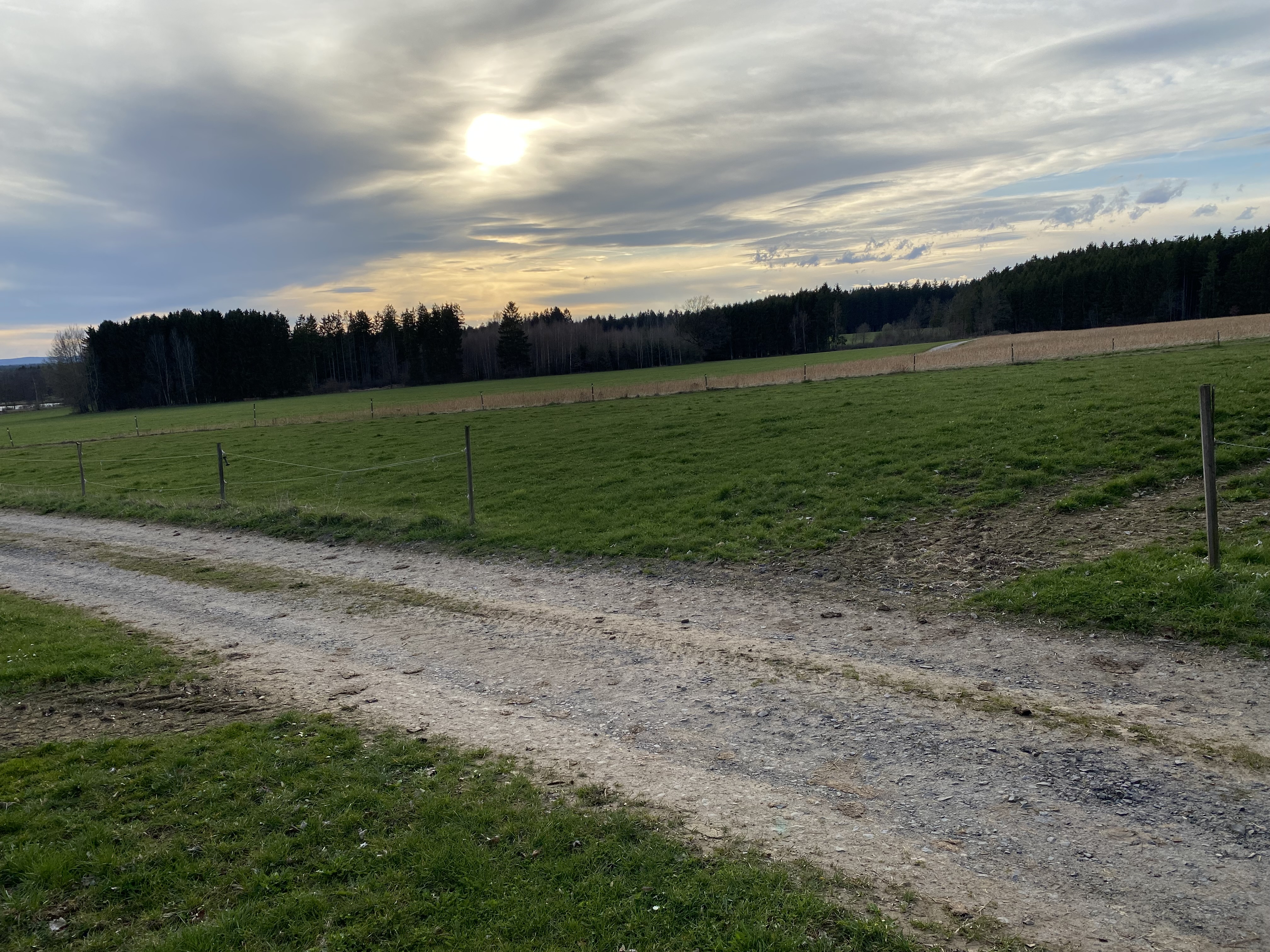 Reisemobilstellplatz - Marienbad - Bauernhof in Höfen