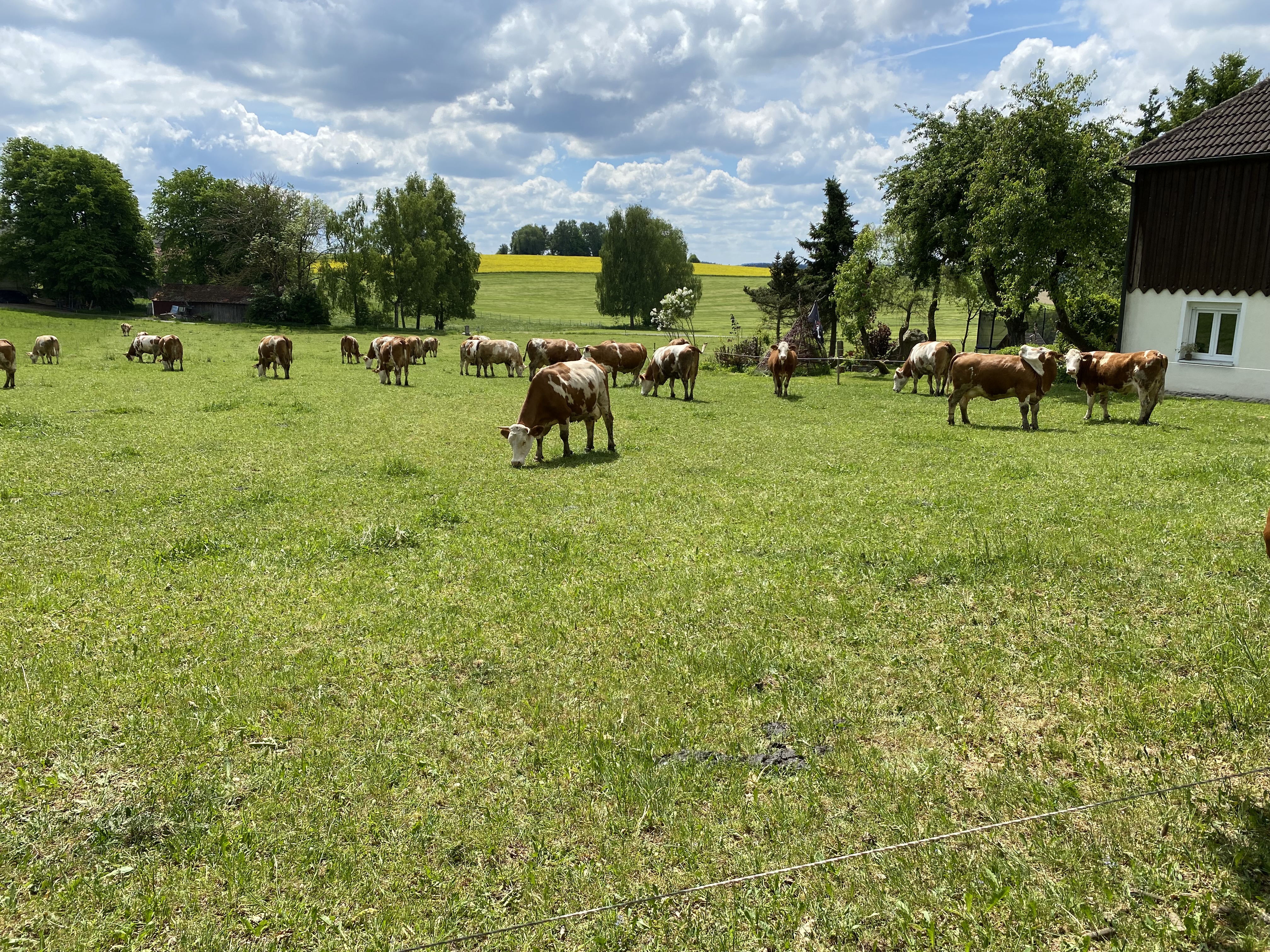 Reisemobilstellplatz - Tirschenreuth - Bauernhof in Höfen