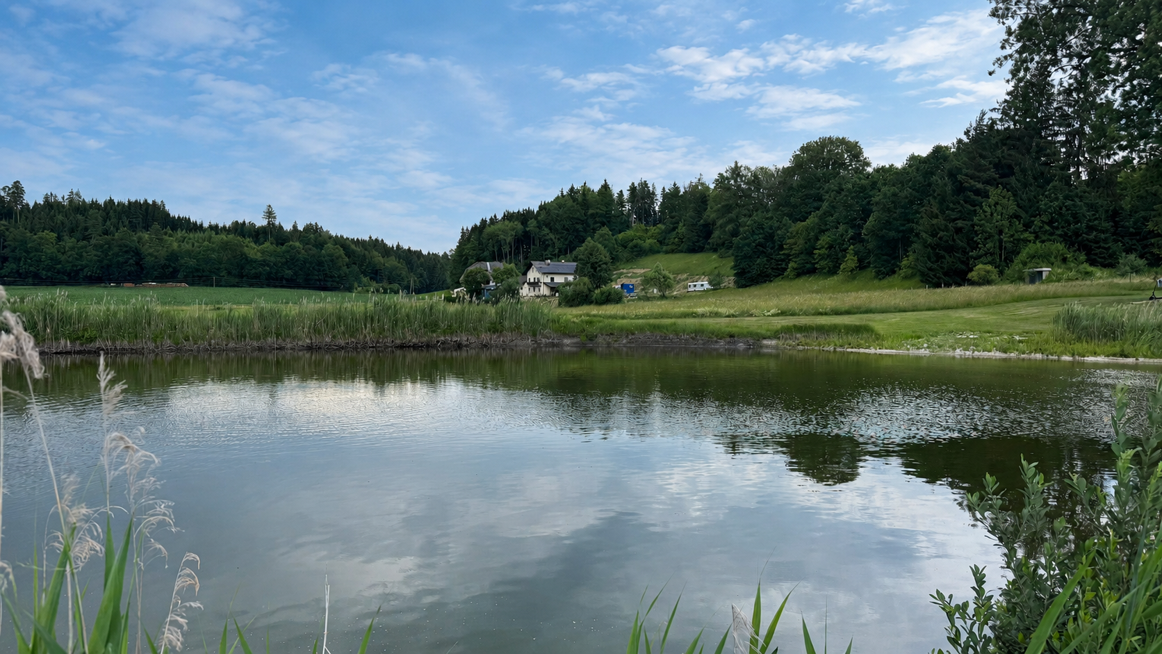 área camper - Bernaich - Der Teich mit Blick auf den Stellplatz Bergschusterhof. Der Teich lädt zum Verweilen ein und befindet sich ca. 120 m vom Hof entfernt. Es gibt hohe Bäume die im Sommer bequemen Schatten bilden.  - CAMPING-LÄNGSEE Stellplatz Bergschusterhof