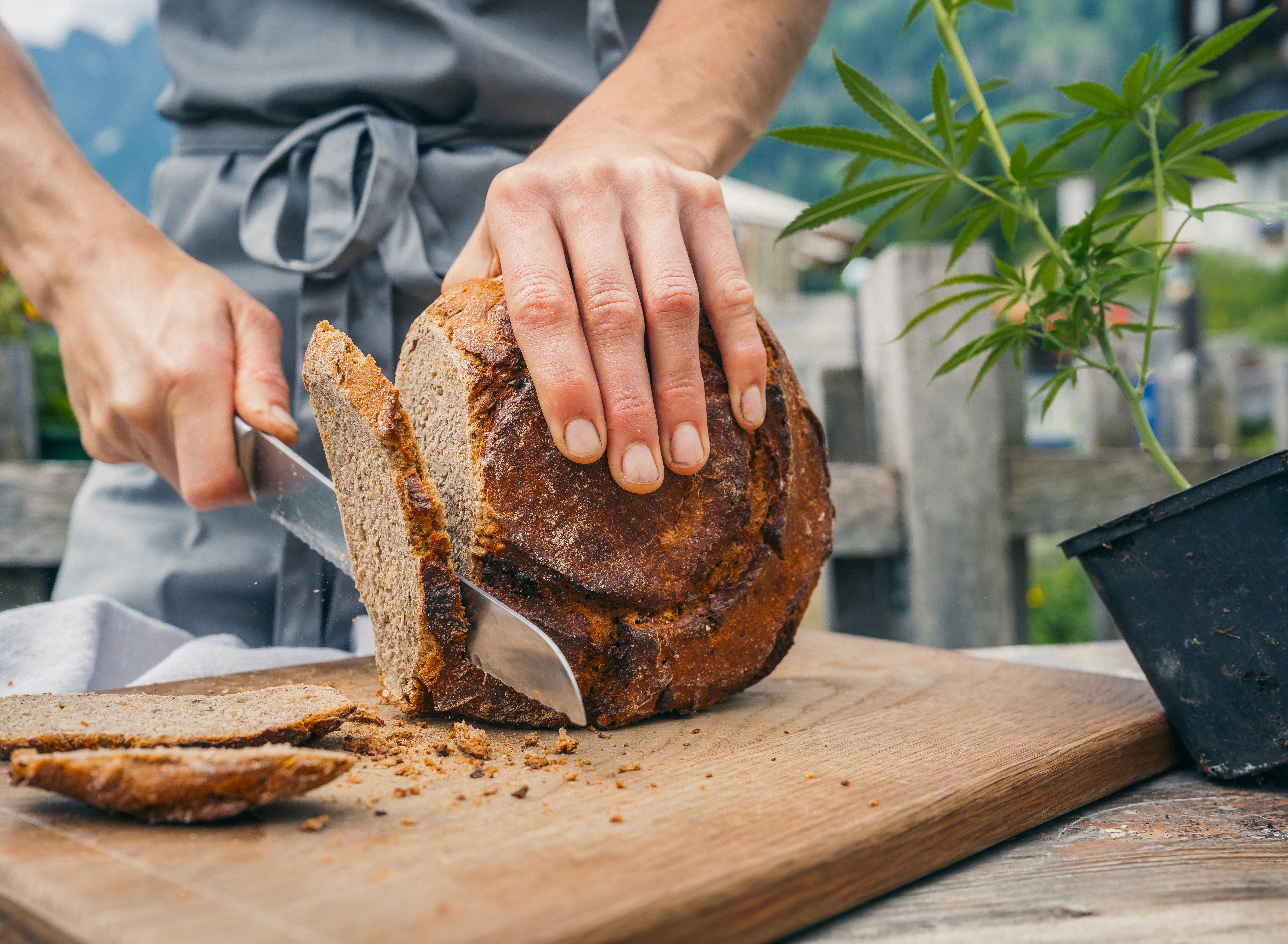 Wohnmobilstellplatz: Helene´s selbstgebackenes Lesachtaler Brot in der hepi Lodge! - Ruhiger Naturstellplatz beim Genusswirt – Mühlenstüberl im Lesachtal